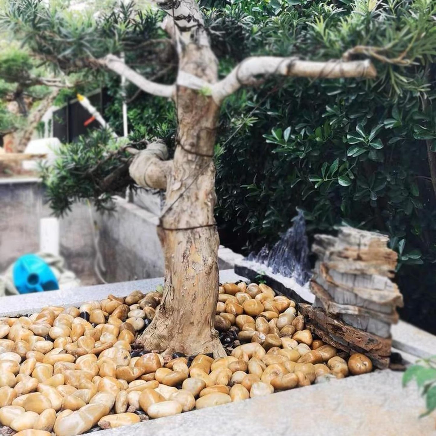 5 lbs Yellow River Rocks, 1-2 Inch Polished Pebbles for Indoor Plants, Decorative Rocks Stones for Landscaping, Vases, Aquariums, Fountains, Pathways, Backyard and Garden