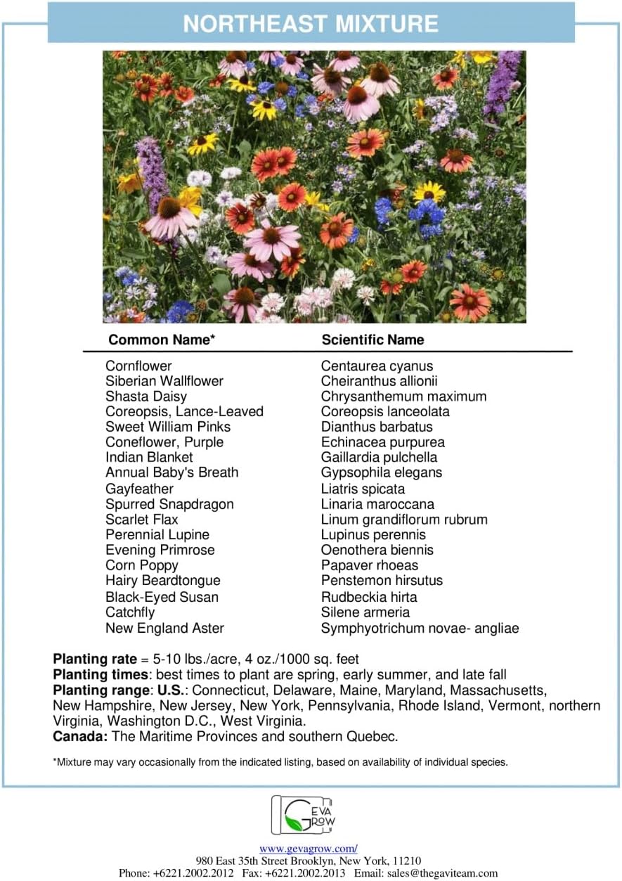 Regional Wildflower - Northeast USA Wildflowers - 100% Pure Seed - Organic, Non-GMO - 21 Wildflower Variety Seeds of Annual & Perennial, 1 LB Tub