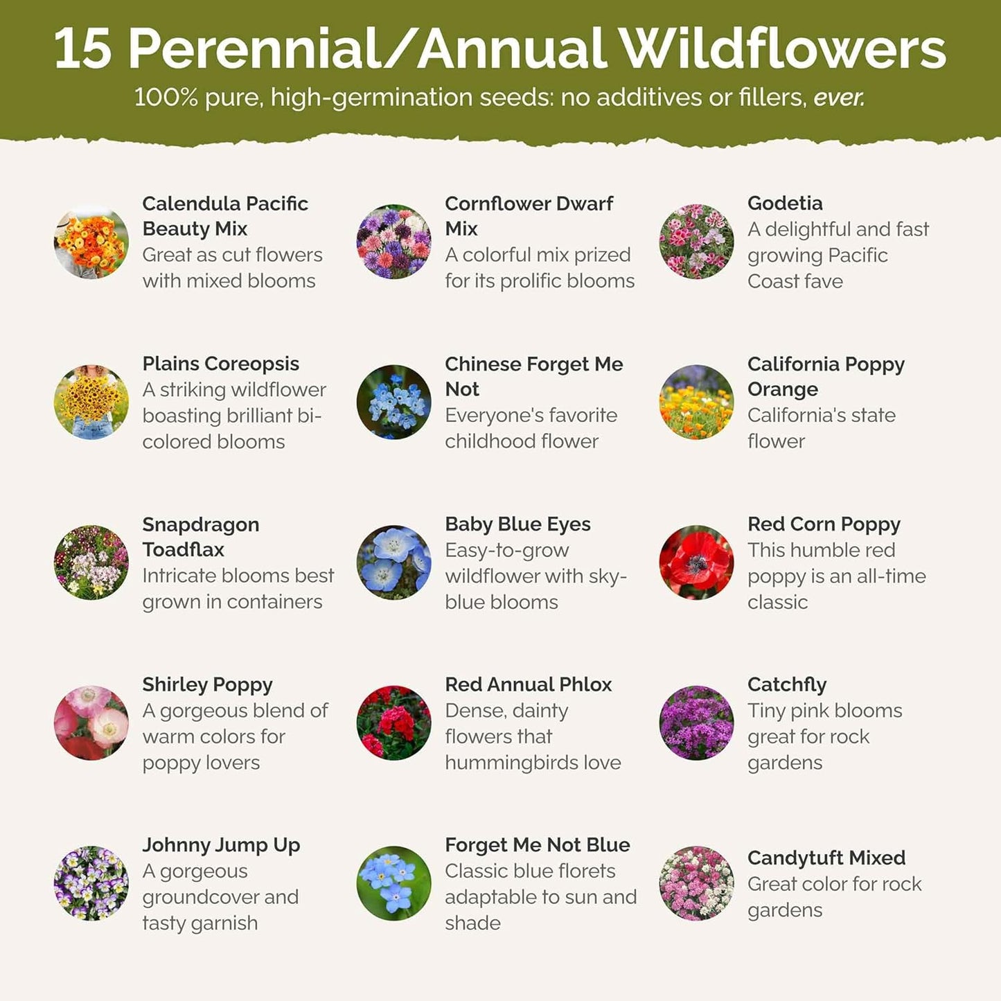 Eden Brothers Shorty Low Grow Wildflower Mixed Seeds for Planting, 1 lb, 480,000+ Seeds with Calendula, Cornflower | Attracts Pollinators, Plant in Spring or Fall, Zones 3, 4, 5, 6, 7, 8, 9, 10