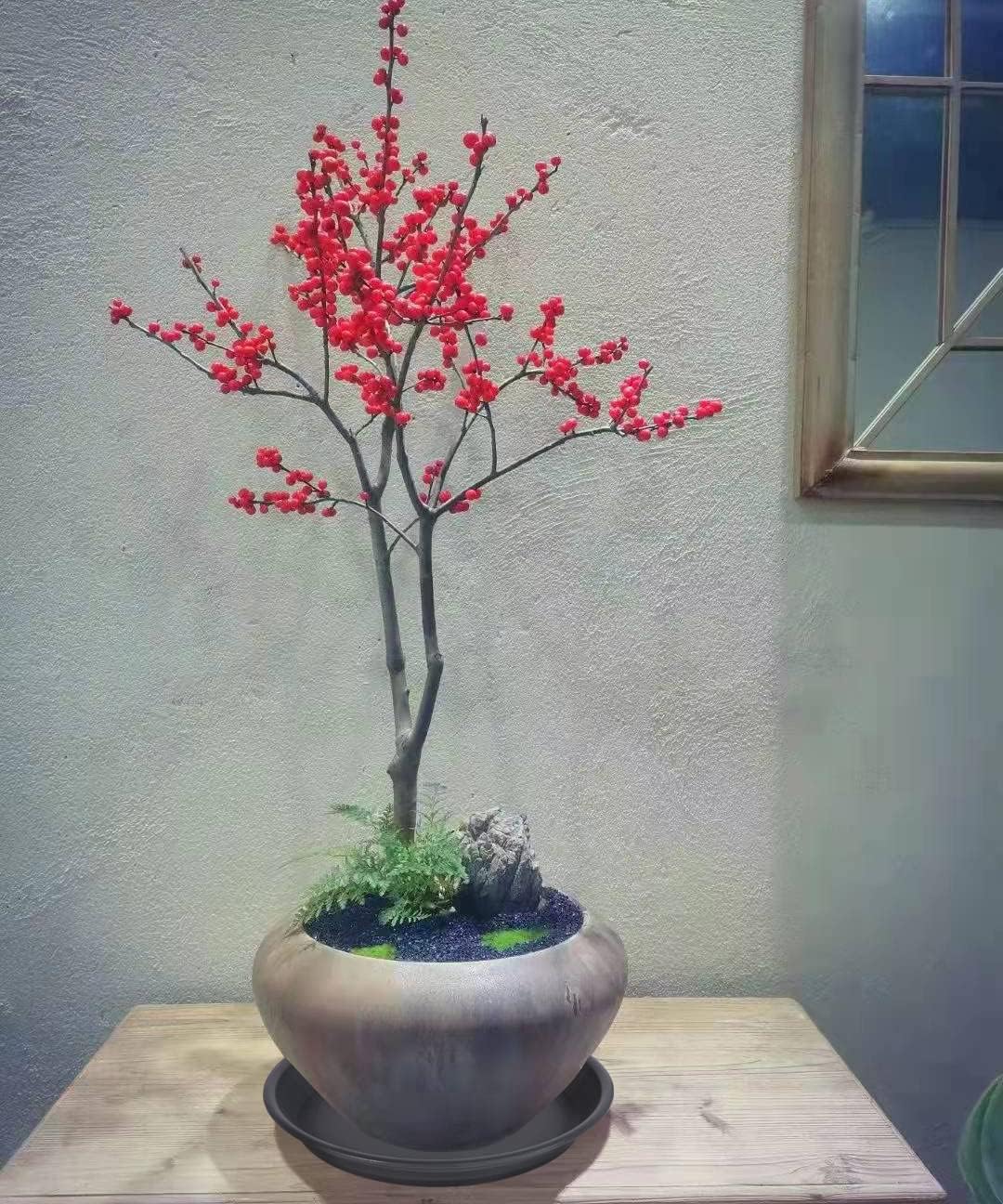 2 Pack Plant Saucer Drip Tray 13 14 inch, Large Plastic Flower Planter Saucers and Drip Trays for Indoors Outdoors, Heavy Durable Plant Plate Water Catcher (Black)