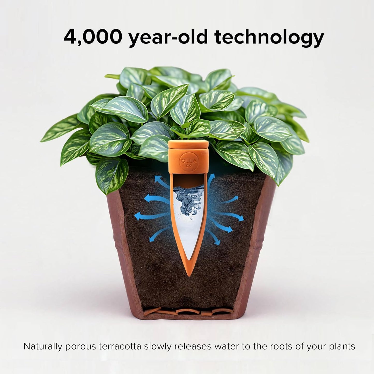 Plant Watering Spikes with Lids - Ideal for 8”-12” Pots - Vacation Friendly - Terracotta - Large - Set of 4