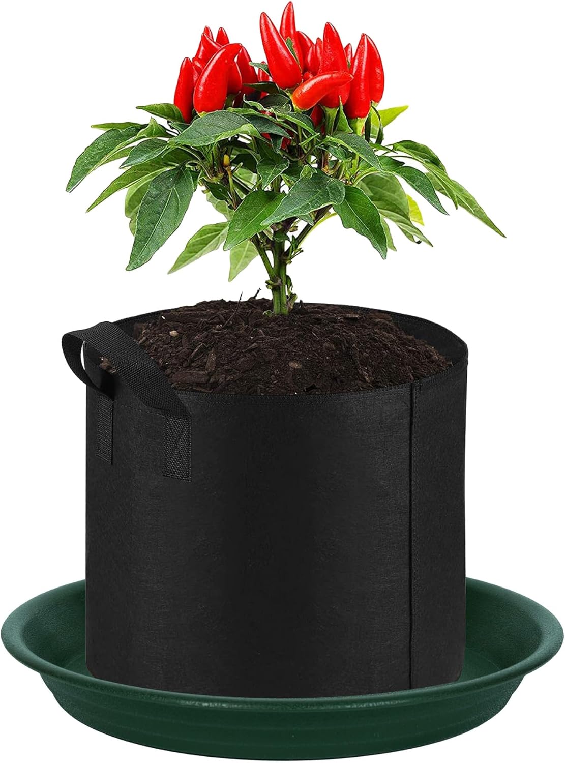 2 Pack Plant Saucer Drip Tray 11 12 inch, Pot Base for Plants Indoor, Plastic Flower Planter Saucers and Drip Trays for Outdoors, Heavy Durable Plant Plate Water Catcher (12", Dark Green)