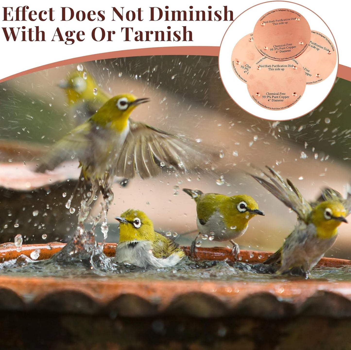 4 Pcs Bird Bath Copper Disk, 0.6mm Thick Reinforced 99.99% Pure Copper Birdbath Purification Disk, with 4 Point Support for Outdoor Birdbaths Bowls Cleaner, 4 Inch (Classic)