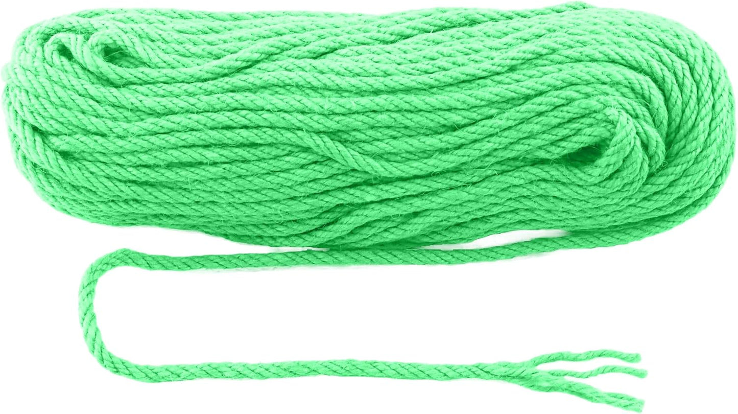 6mm x 200 Feet Light Green Jute Rope, Twine for Gardening Tomato Climbing Plant Tie Floristry Crafts Gift Wrapping Packing Decor