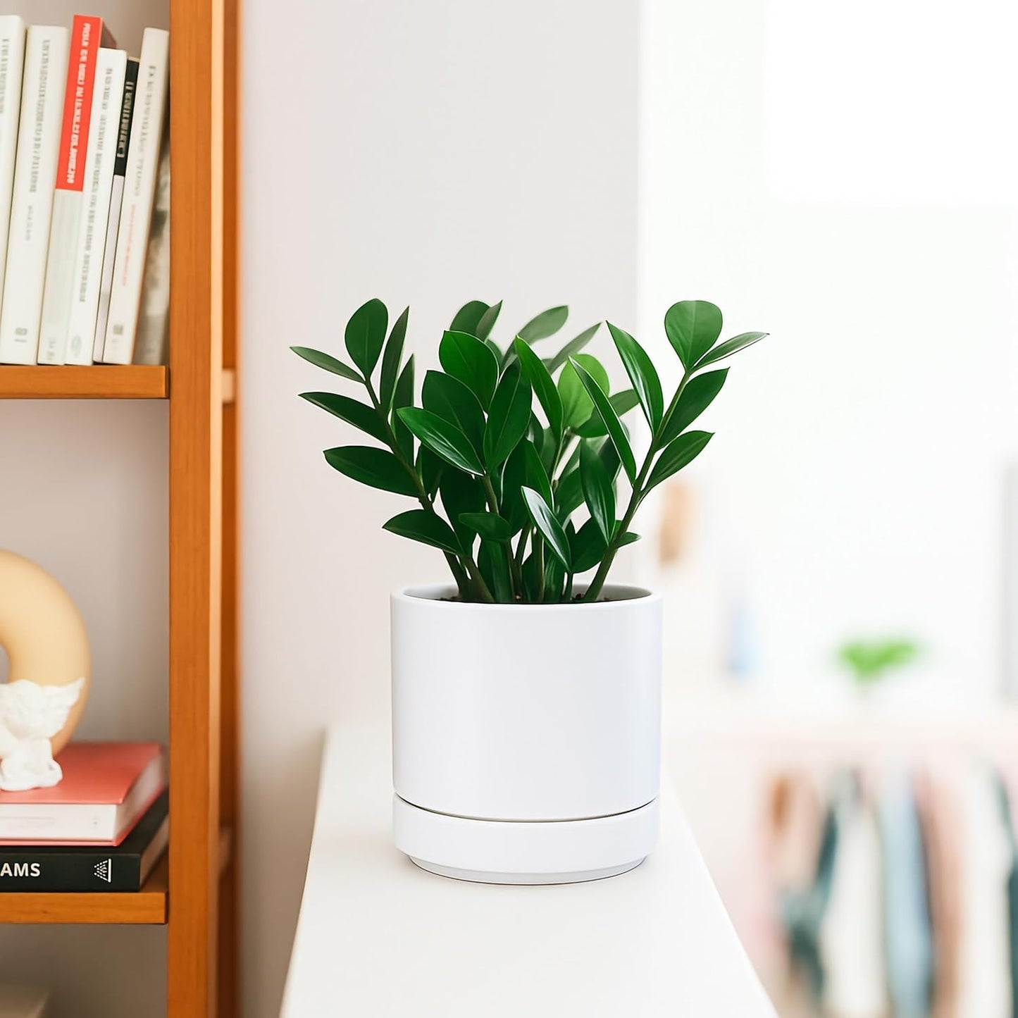 D'vine Dev 4.7 Inch Ceramic Planter Pot with Drainage Hole and Saucer, Indoor Cylinder Round Planter Pot, White, 94-O-B-1