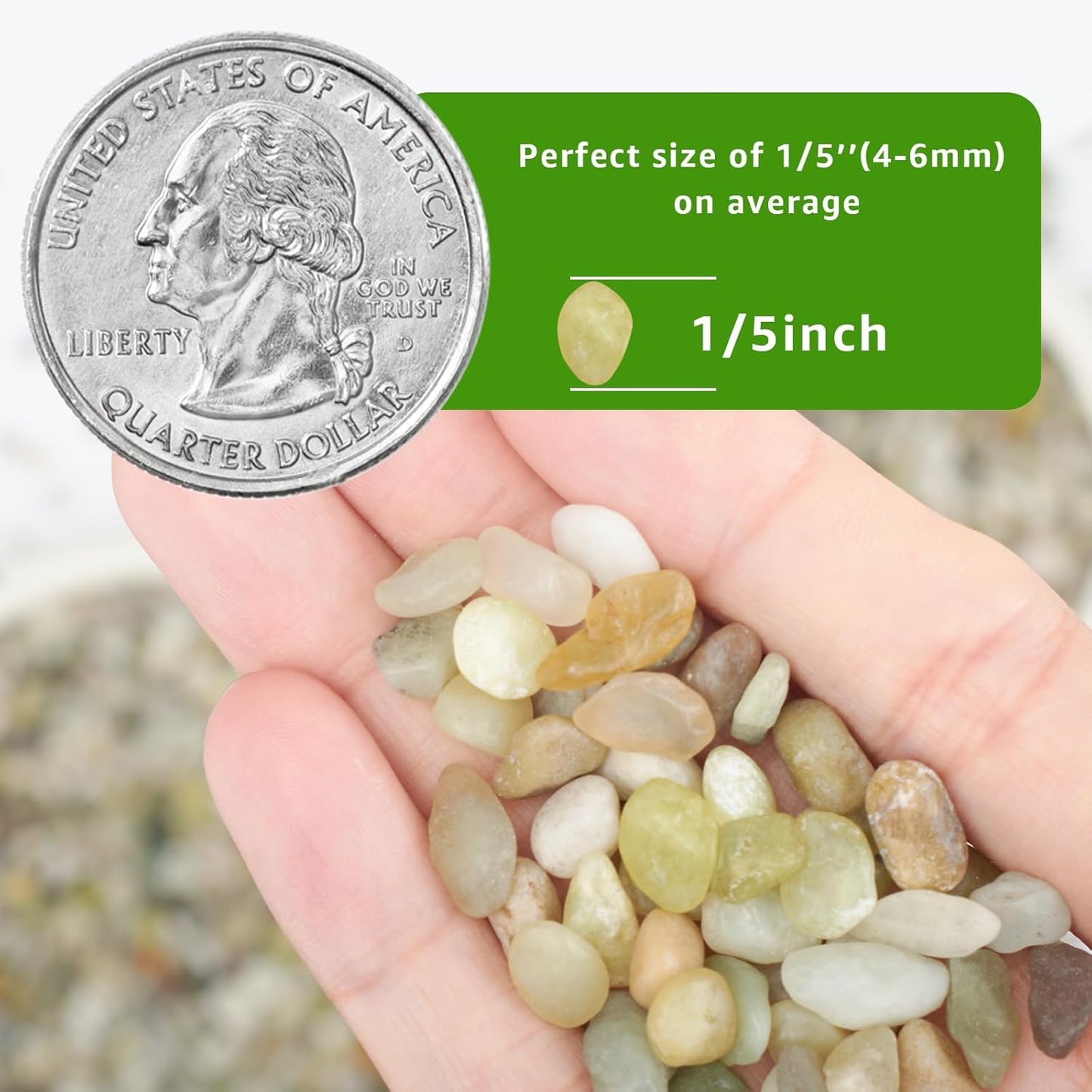 5 LBS Decorative Jade Stones – Ideal for Succulent Cactus Plants, Vase Fillers, Fish Tanks, and Landscaping Projects. 1/5 Inch Stones Promote Healthy Plant Growth (Jade, 5 Pounds)