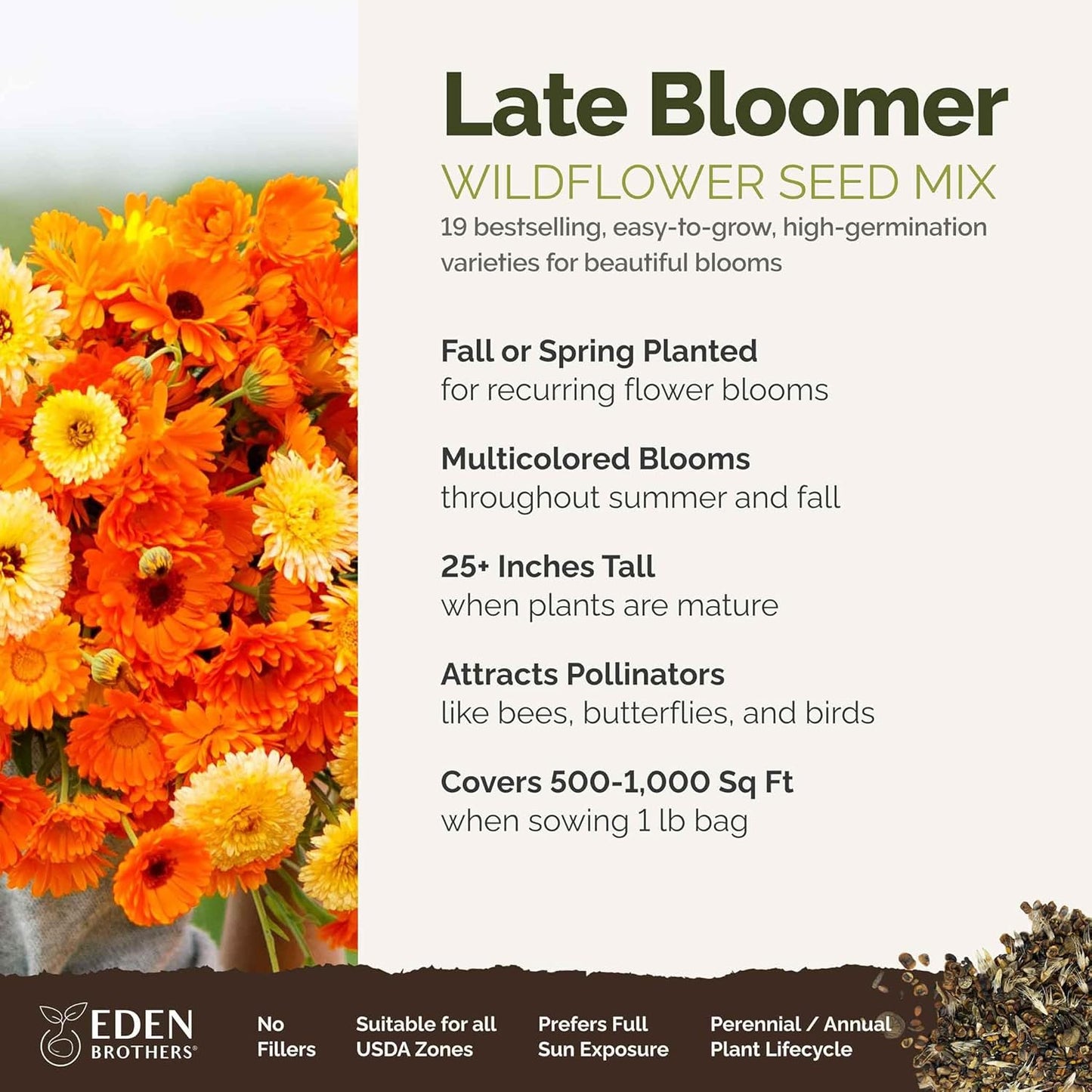 Eden Brothers Late Bloomer Wildflower Mixed Seeds for Planting, 1 lb, 480,000+ Seeds with White Yarrow, Snapdragon | Attracts Pollinators, Plant in Spring or Fall, Zones 3, 4, 5, 6, 7, 8, 9, 10