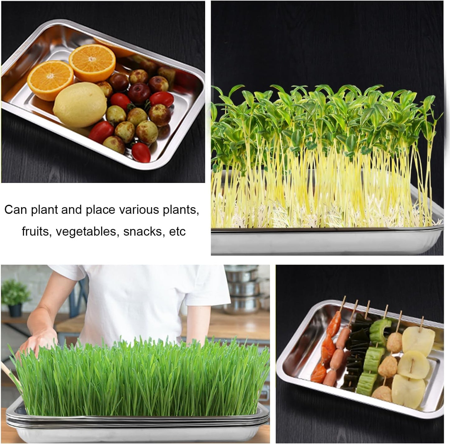 10 Pack Stainless Metal Trays, Stainless Steel Seed Starter Carry Tray for Nursery Seedling Pots Water Collection Transplantation (10.63 inch×14.17 inch, 1.18" Height)