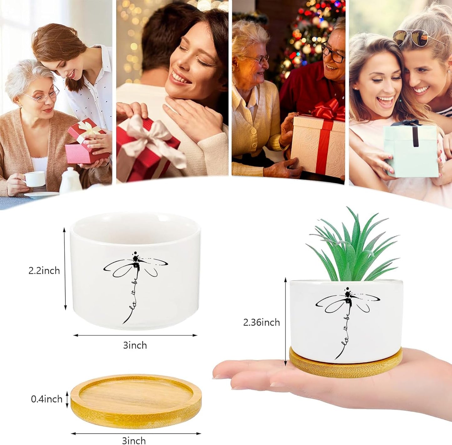 Window Garden Dragonfly Planter Pots,Dragonfly Gifts for Women/Men/Housewarming/Wedding/Festival Birthday Gifts Planter Pots,Outdoors/Indoors,Window Decor,Garden Decor,Yard Decor,Home Decor,Office