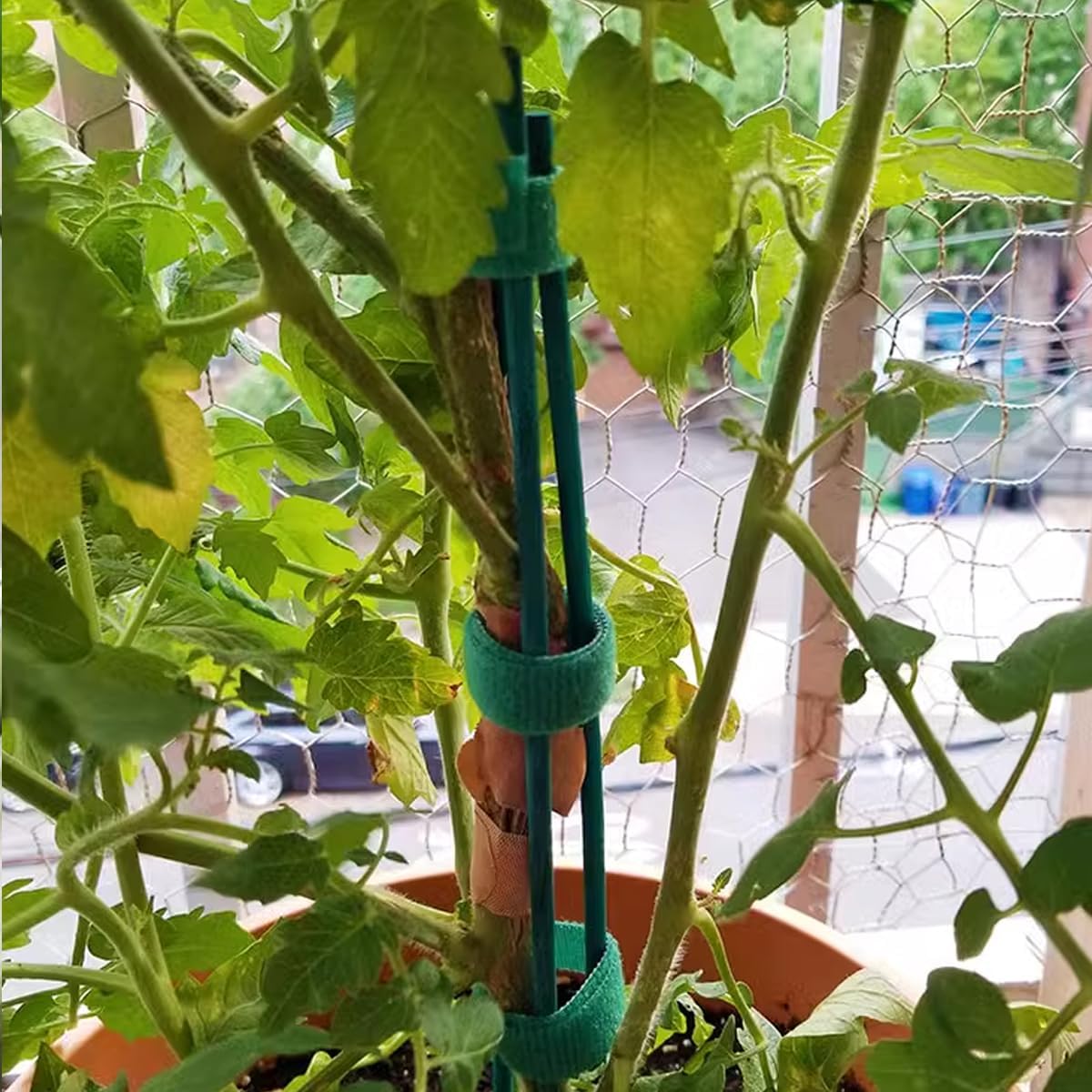 GXXMEI 100PCS 18" Plant Sticks Support with 100PCS Green Garden Ties, Green Bamboo Sticks, Garden Wood Plant Stakes, Floral/Orchid/Tomato Wooden Stakes Plant Support Stakes Wooden