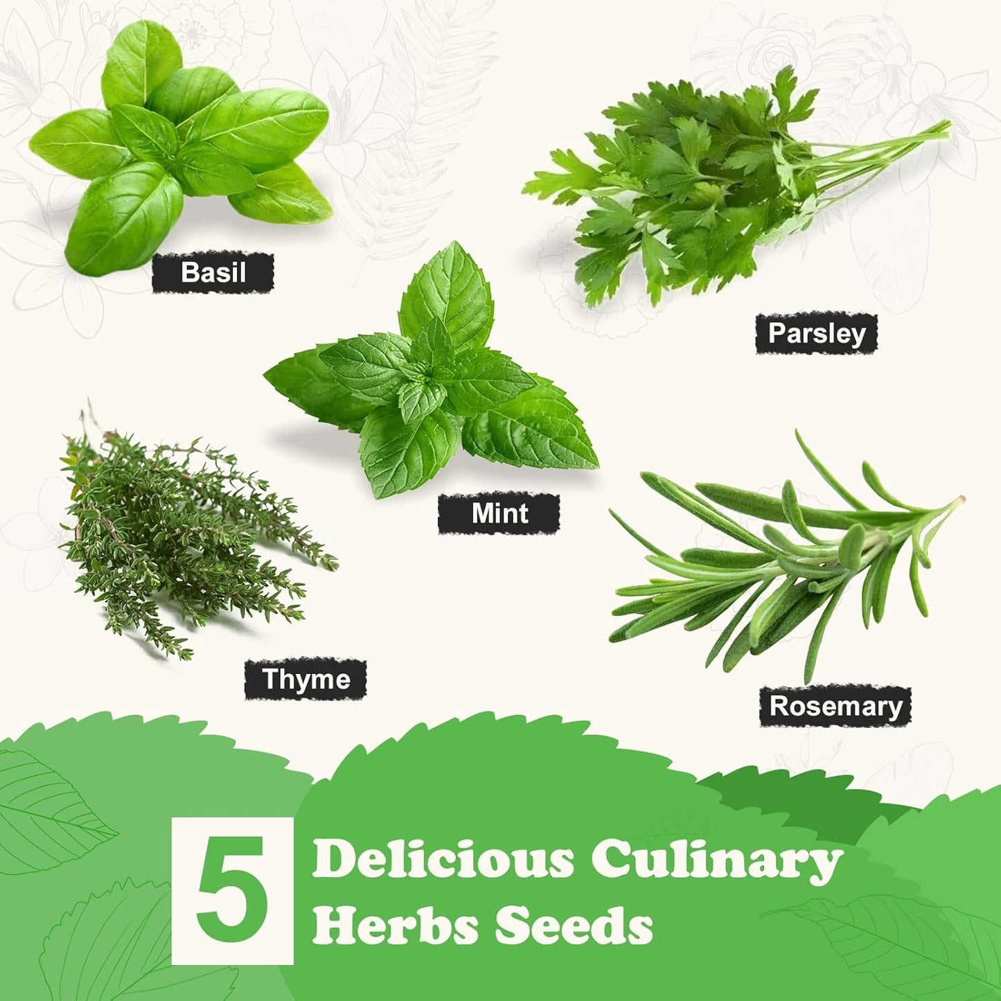 Indoor Herb Garden Starter Kit, 5 Non-GMO Herb Seeds - Basil, Parsley, Rosemary, Thyme, and Mint with Complete Planting Set for Kitchen Herb Garden DIY