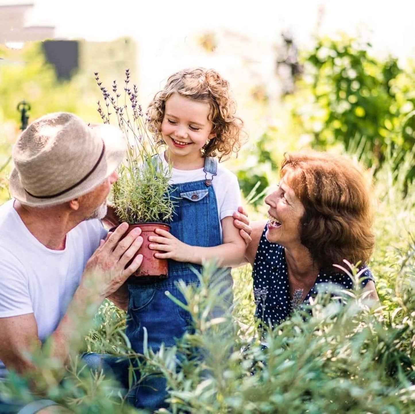100 PCS 6 Inches Plastic Plant Nursery Pots, Reusable Plastic Pots for Succulents, Seedlings, Cuttings, Transplanting,Seedlingswith Drainage Holes