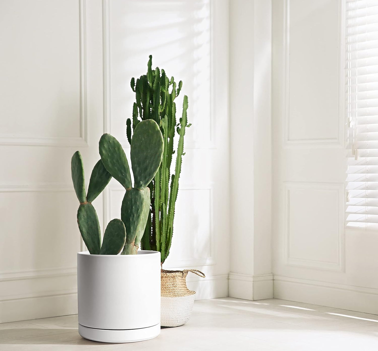 D'vine Dev 12 Inch Ceramic Planter Pot with Drainage Hole and Saucer, Indoor Cylinder Round Planter Pot, White, 94-O-F-1