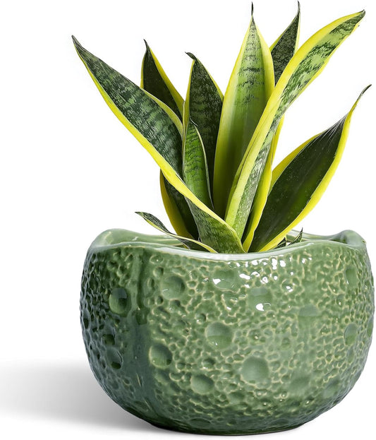 8 Inch Plant Pot - Ceramic Pots for Plants with Drainage Hole, Round Decorative Plant Pots for Indoor Outdoor, Modern Unique Flower Pot, Office Decor, Garden Gifts, Green