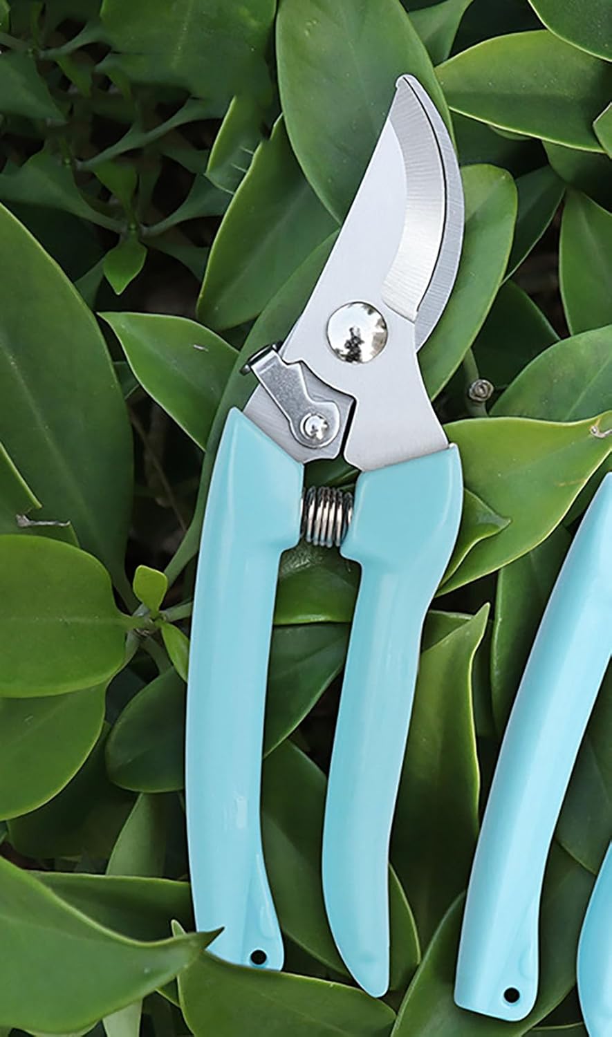 Blue Garden Flower Shears Pruning Shears 6.9 inches Scissors Heavy Duty Plant Scissors for Cutting Flowers, Trimming Plants, Bonsai, Fruits Picking (Blue Handle)