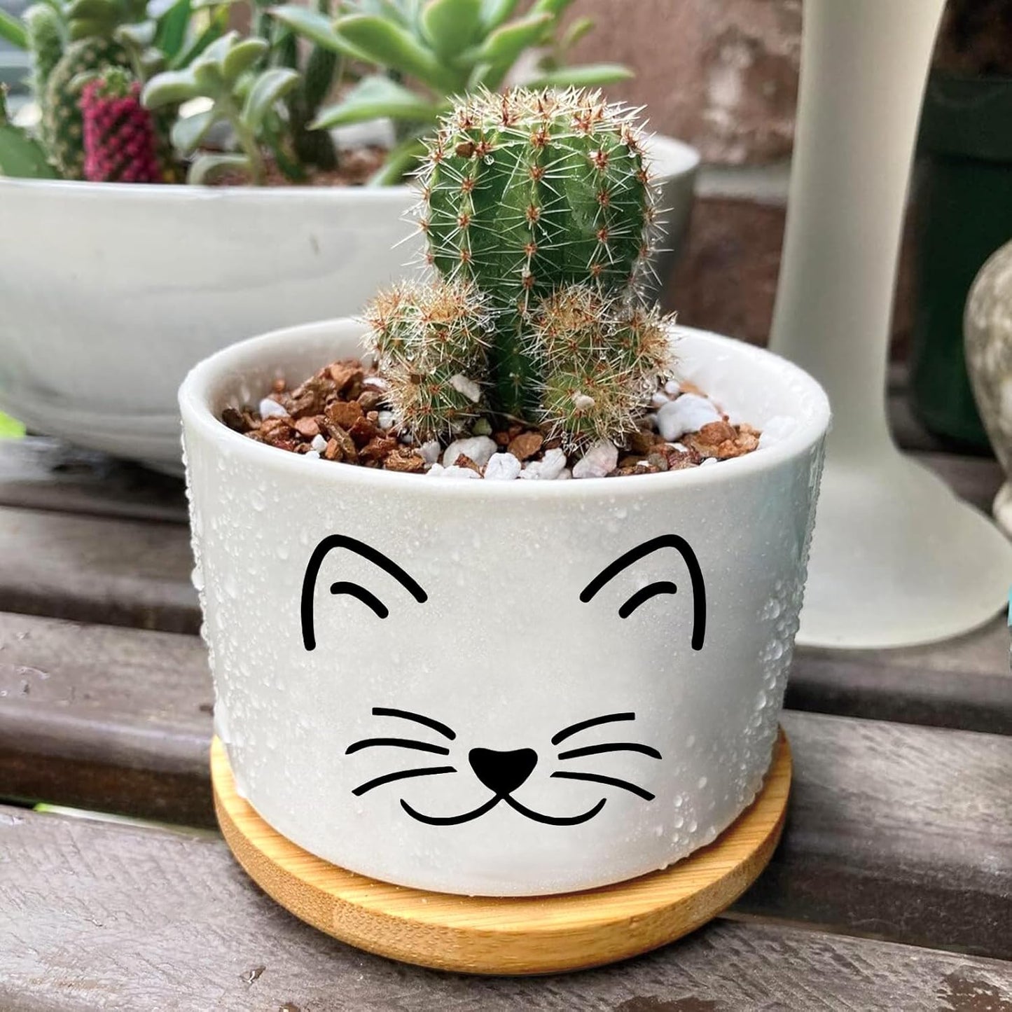 Window Garden Cat Planter Pots,Cat Gifts for Women/Men/Housewarming/Wedding/Festival Birthday Gifts Planter Pots,Outdoors/Indoors,Window Decor,Garden Decor,Yard Decor,Home Decor,Office