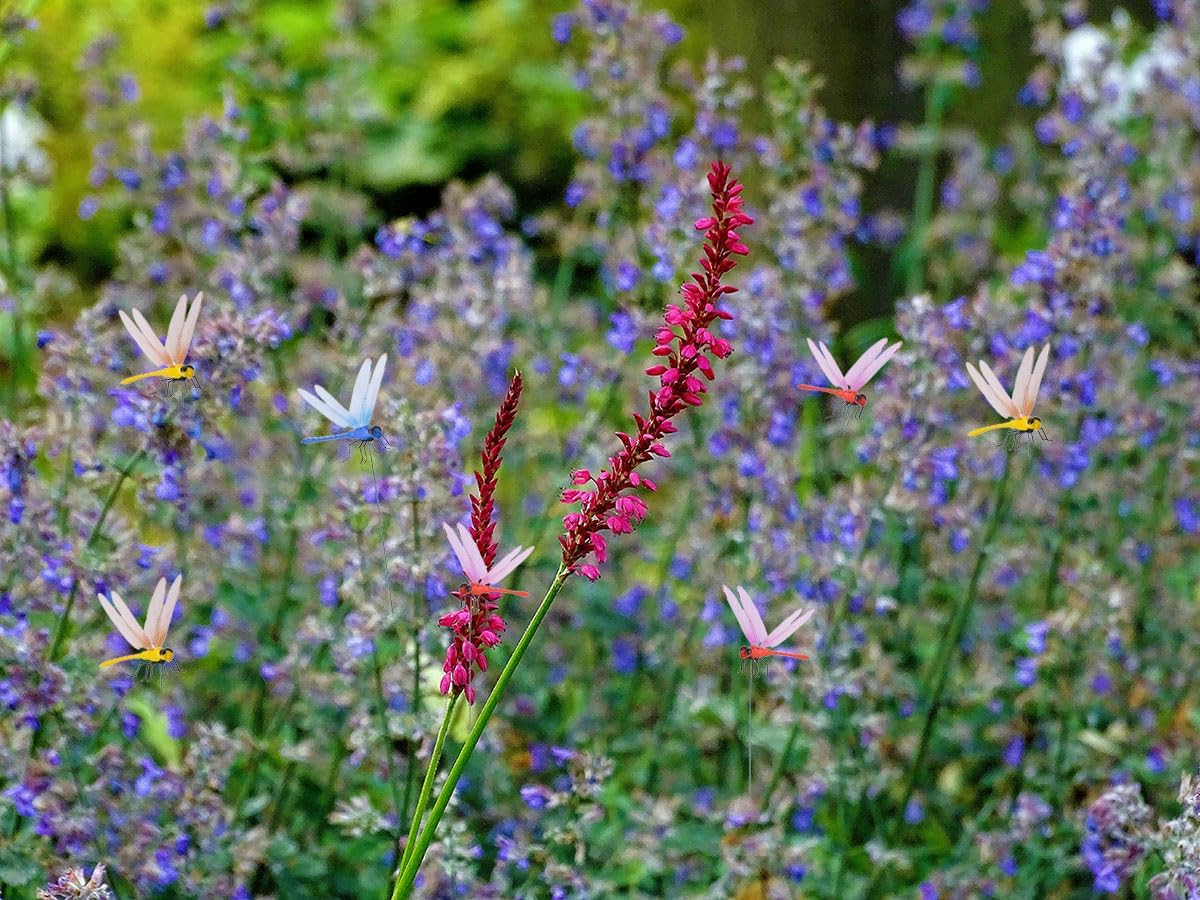 Spiritlele 16 PCS Fake Dragonfly Clip Colorful Hat Clip 3D Dragonfly Garden Decor for Patio Outdoor Indoor