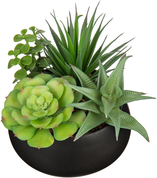 Fake Plants Artificial Succulents in Pots Faux Succulent Arrangement Potted Plant with Black Ceramic Pot for Home Decor Modern Office Desk Bathroom Shelf Living Room Indoor & Outdoor Decoration