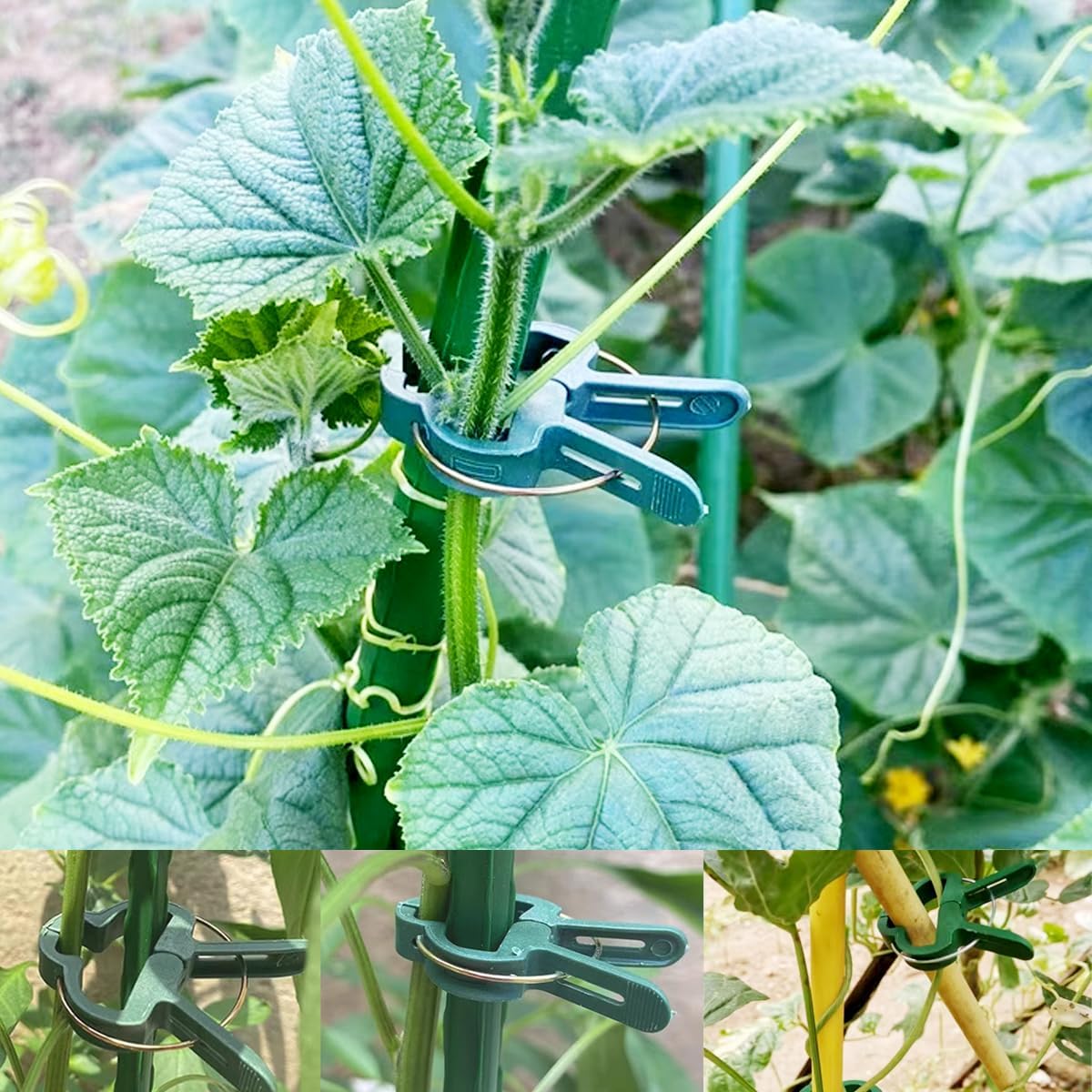 GXXMEI 100PCS Plant Clips Garden Clips for Tomato Cage, Tomatoes Clips Plant Support Clips for Bamboo Stakes, Climbing Plants, Vines, Gentle Plant & Flower Trellis Clips for Plant Stalks, Stems