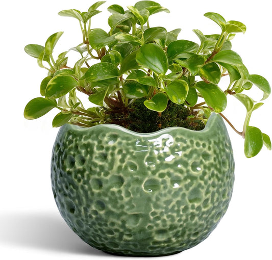 Ceramic Plant Pots - 4 inch Plant Pot with Drainage Hole, Small Pots for Plants Indoor Outdoor, Unique Round Planter, Modern Decorative Flower Pot, Room Decor, House Warming Gifts, Green