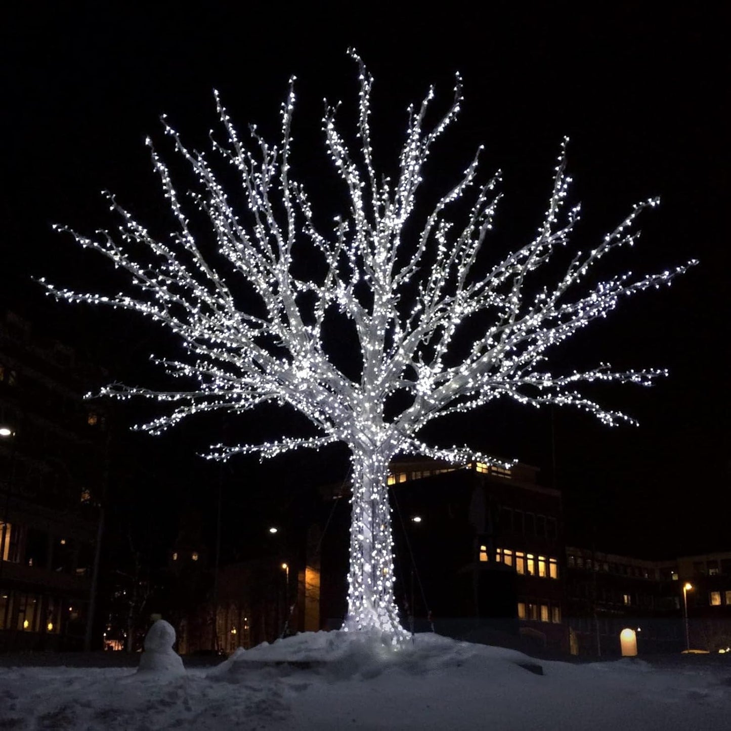 6 Pack Solar String Lights Outdoor, Extra-Long 600LED Fairy Lights Outdoor Waterproof, Solar Twinkle Light Silver Wire 8 Modes Fairy Light for Xmas Tree Party Wedding (Cool White)