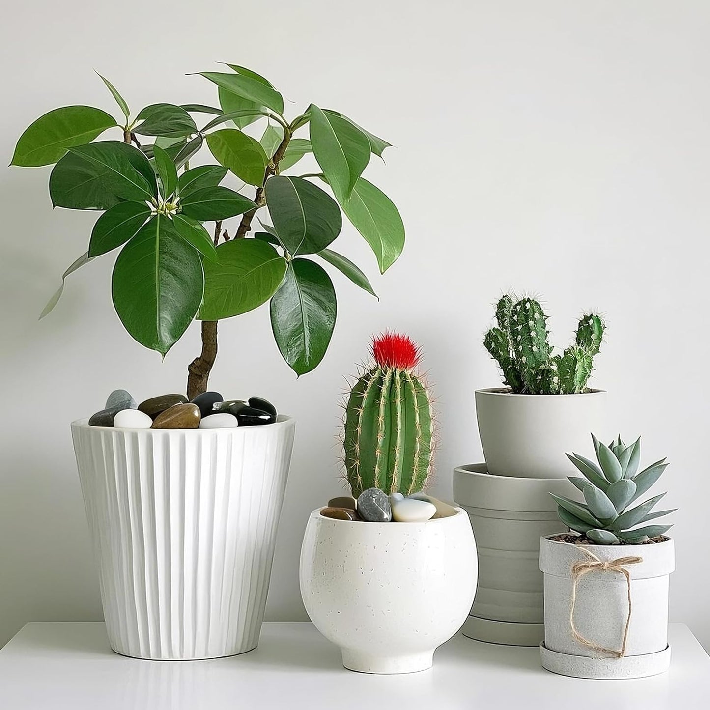 Large Pebbles for Indoor Plants, 10lbs Colorful Pebbles 2-3 Inch Decorative River Rocks for Planters, High Polished Stones for Vase Filler Fish Tank Landscaping Garden