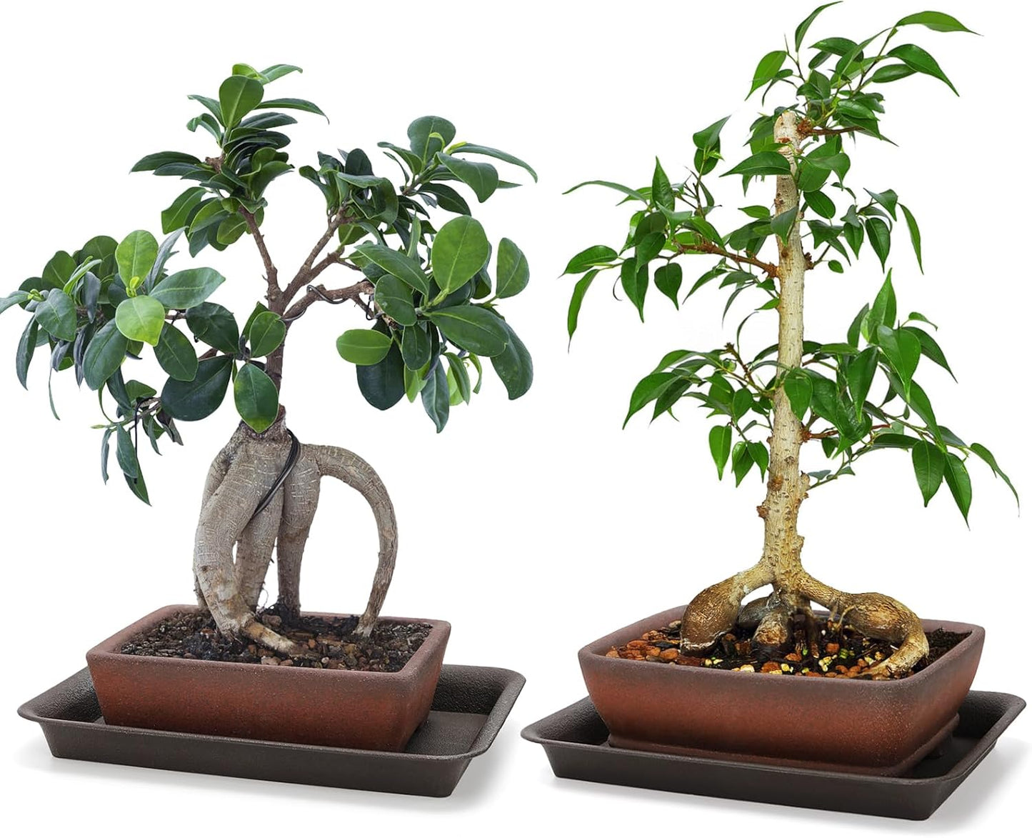 2 Pack Rectangle Bonsai Pots, 6" and 7" Bonsai Planter, Handmade Unglazed Ceramic Planters with 2 Match Humidity Trays 2 Drainage Mesh Pads, Bonsai Tree Training Kit for Garden Outdoor Indoor