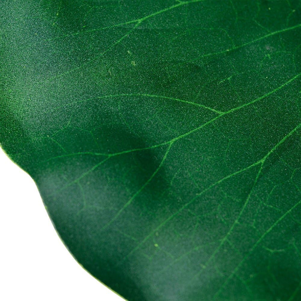 Superdream Artificial Realistic Lily Pads Floating Scenery Lotus Pods for Pool Decoration Aquarium Fish Pond Water Decorative (Pack of 6)