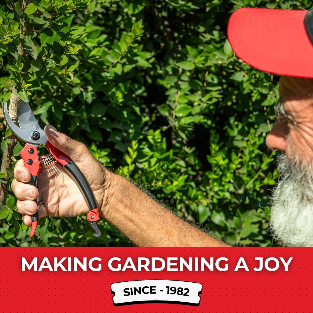 TABOR TOOLS S821A Bypass Pruning Shears, Makes Clean Cuts, Great for S-M Size Hands. Professional Sharp Secateurs, Hand Pruner, Garden Shears, Clippers for The Garden.