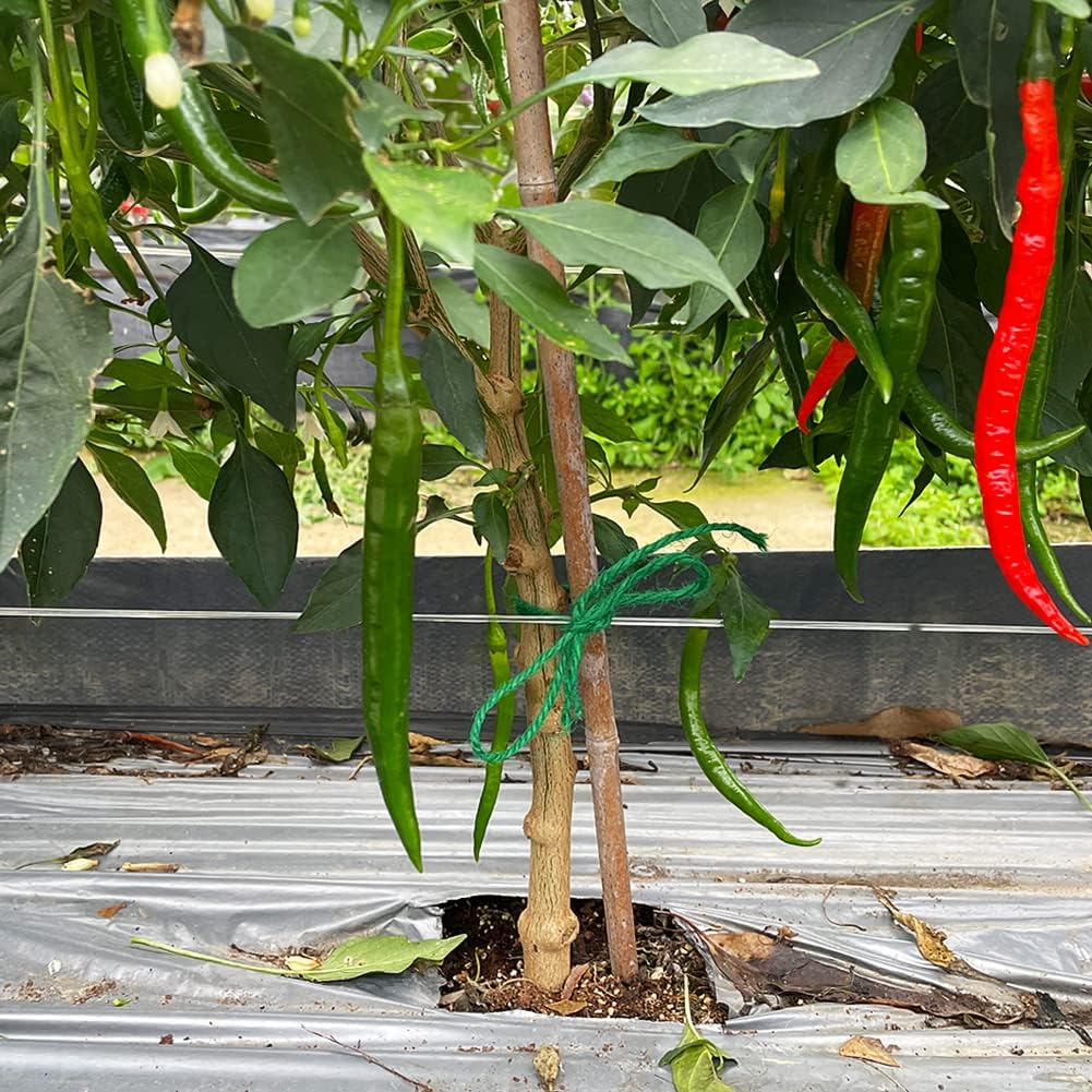 Tenn Well Jute Garden Twine, 328 Feet 3mm Heavy Duty Tomato Twine, Green Plant Ties for Gardening, Climbing Plants, Vegetables, Crafting