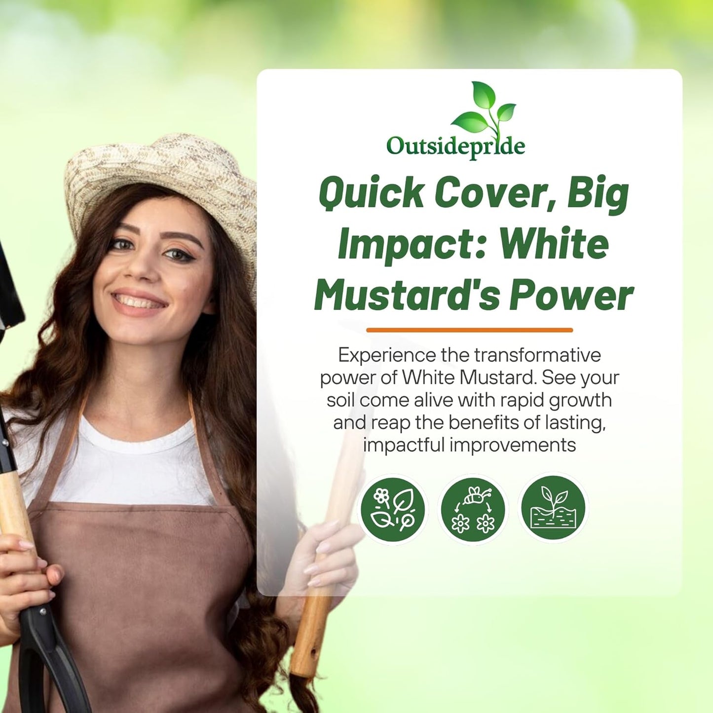 Outsidepride White Mustard Seeds for Planting - 50 lb Annual Cover Crop Seeds w/Deep Root System, High Protein Forage, Ideal for Soil Fertility, Crop Rotations, & Livestock Nutrition