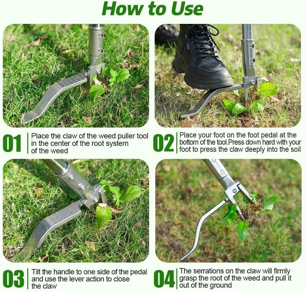 Stainless Steel Stand Up Weed Puller Tool with Long Handle, Thickened 304 Stainless Steel Foot Pedals & 2-Claw Head, Weeding Weed Remove Tool for Lawn/Yard