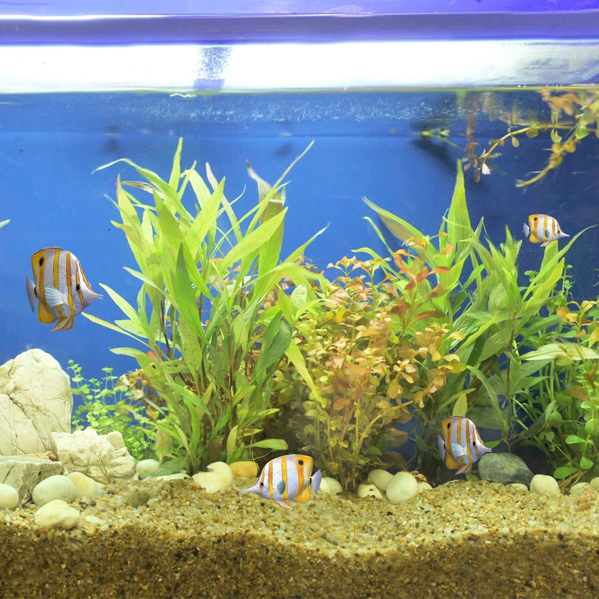 20lbs Aquarium Gravel, 1/16"(0.6-1.2mm) Natural River Rocks Succulent Cactus Pea Gravel for Plants, Fish Tank, Decorative Pebbles for Gardening, Flower Pots, Vase Fillers, Landscaping