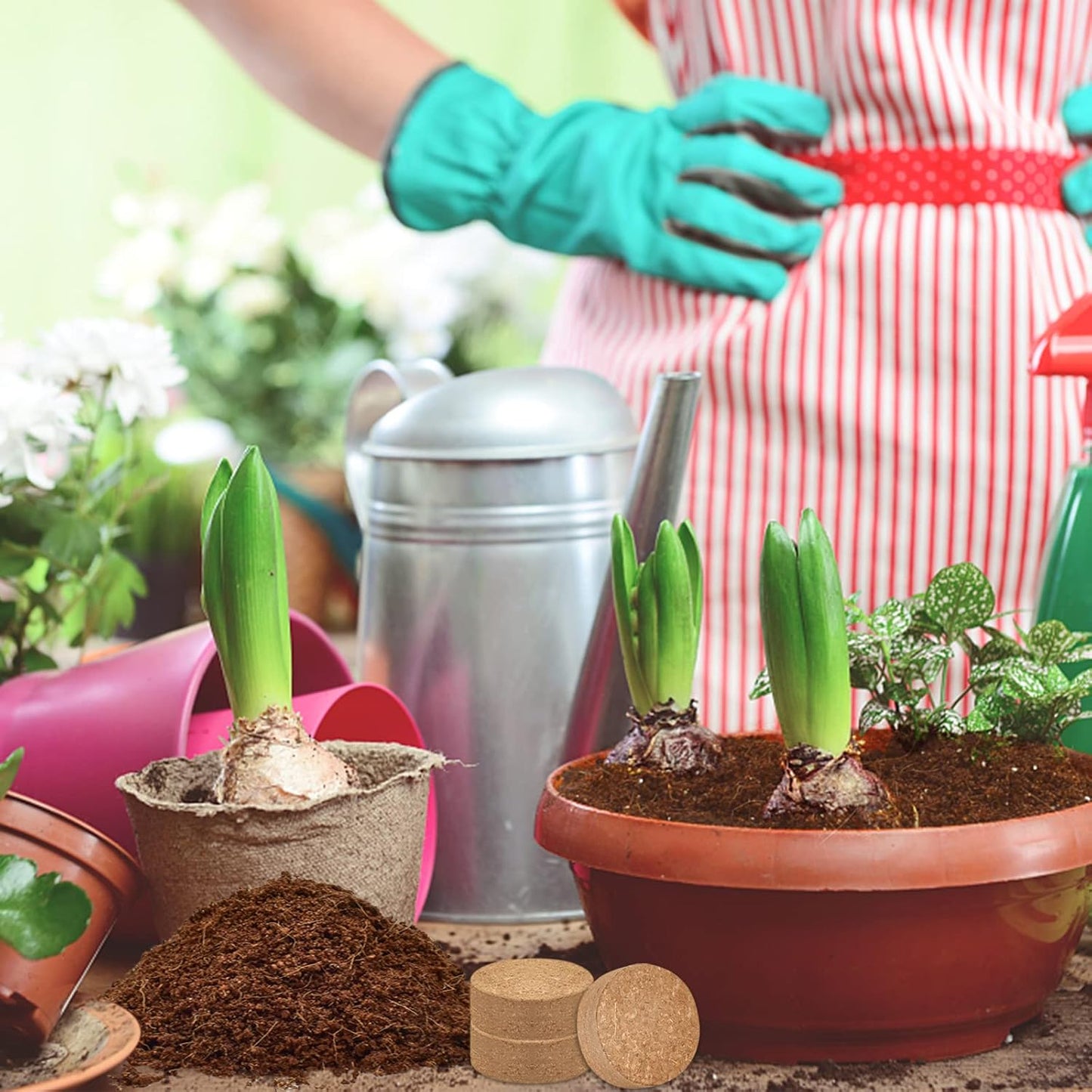 ZeeDix Organic Coco Coir Pellets Potting Soil, 200pcs 30mm Compressed Coconut Fiber Seed Starter Soil Pellets, Coco Peat Soil Discs for Indoor Outdoor Plants, Herbs, Houseplants, Flowers, Vegetables