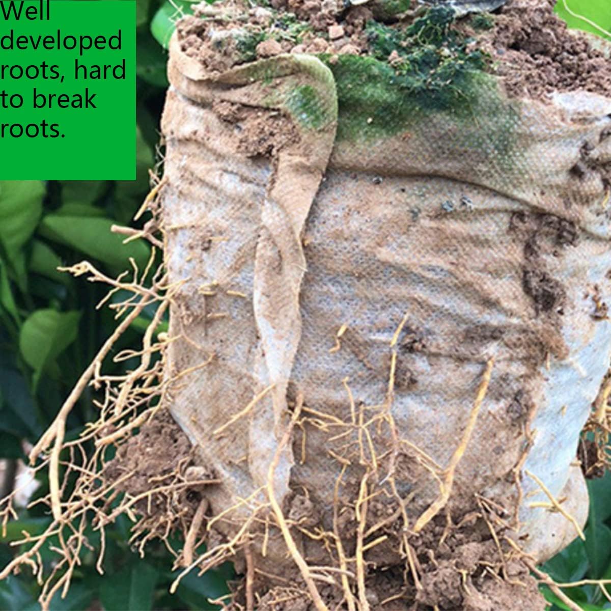 gardtree Plant Nursery Bags 4” x 4.7” 400PCS, Non-Woven Biodegradable Plant Grow Bags Fabric Seedling Starter Pots for Vegetable Flower Fruit Saplings Tree, Home Garden Supply