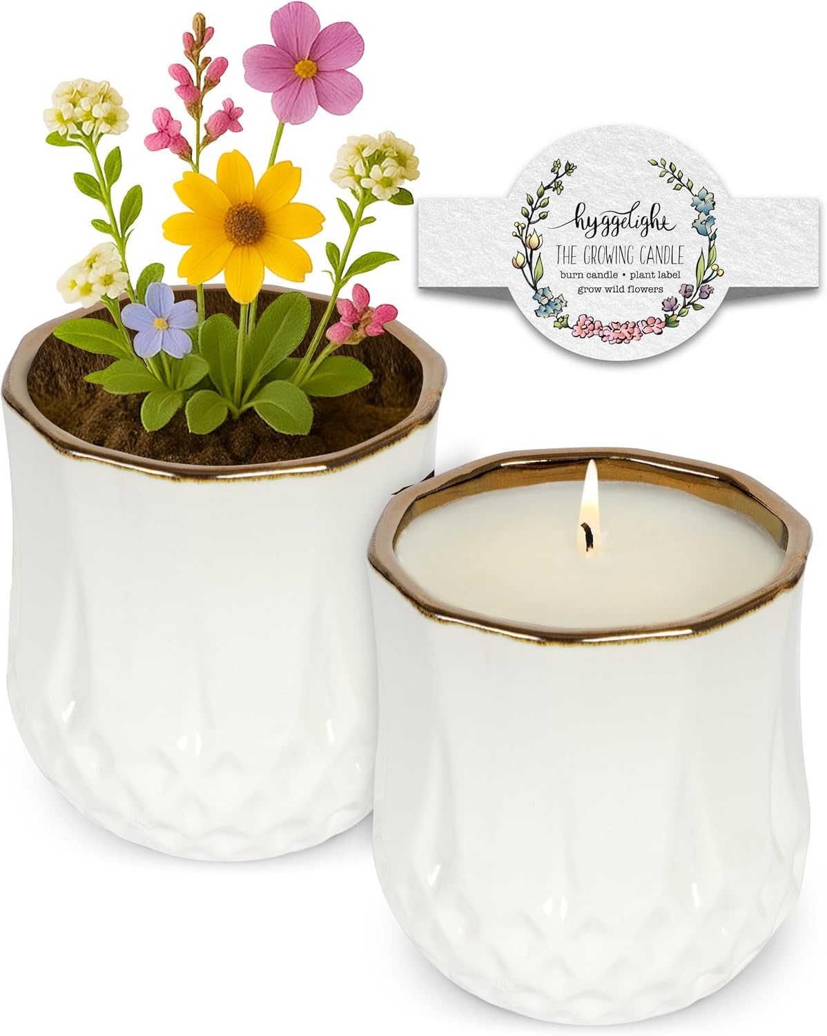 The Growing Candle, Wild Flower Scented, 9oz Ceramic Pot, Single Wick Aromatherapy Candles, 100% Soy for Women and Men, Astrid