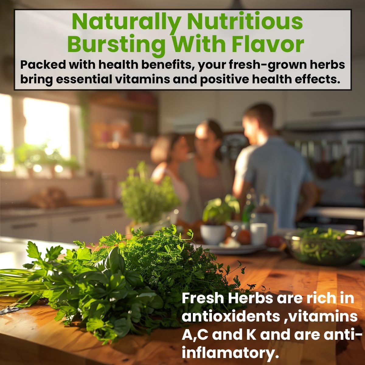 5 Herb Seeds Variety Kit, Oregano, Cilantro, Parsley, Basil, Chives