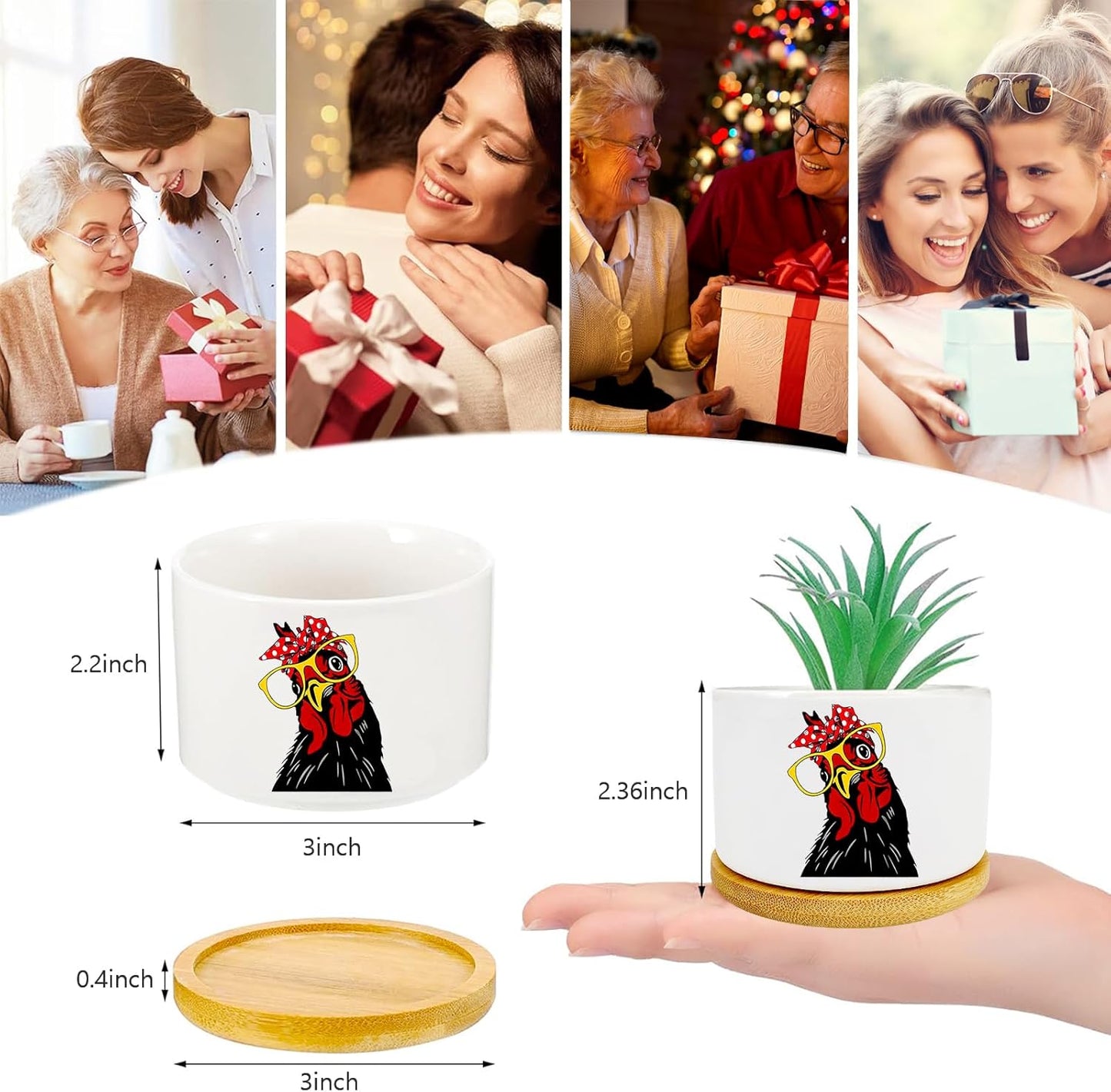 Window Garden Rooster Planter Pots,Rooster Gifts for Women/Men/Housewarming/Wedding/Festival Birthday Gifts Planter Pots,Outdoors/Indoors,Window Decor,Garden Decor,Yard Decor,Home Decor,Office