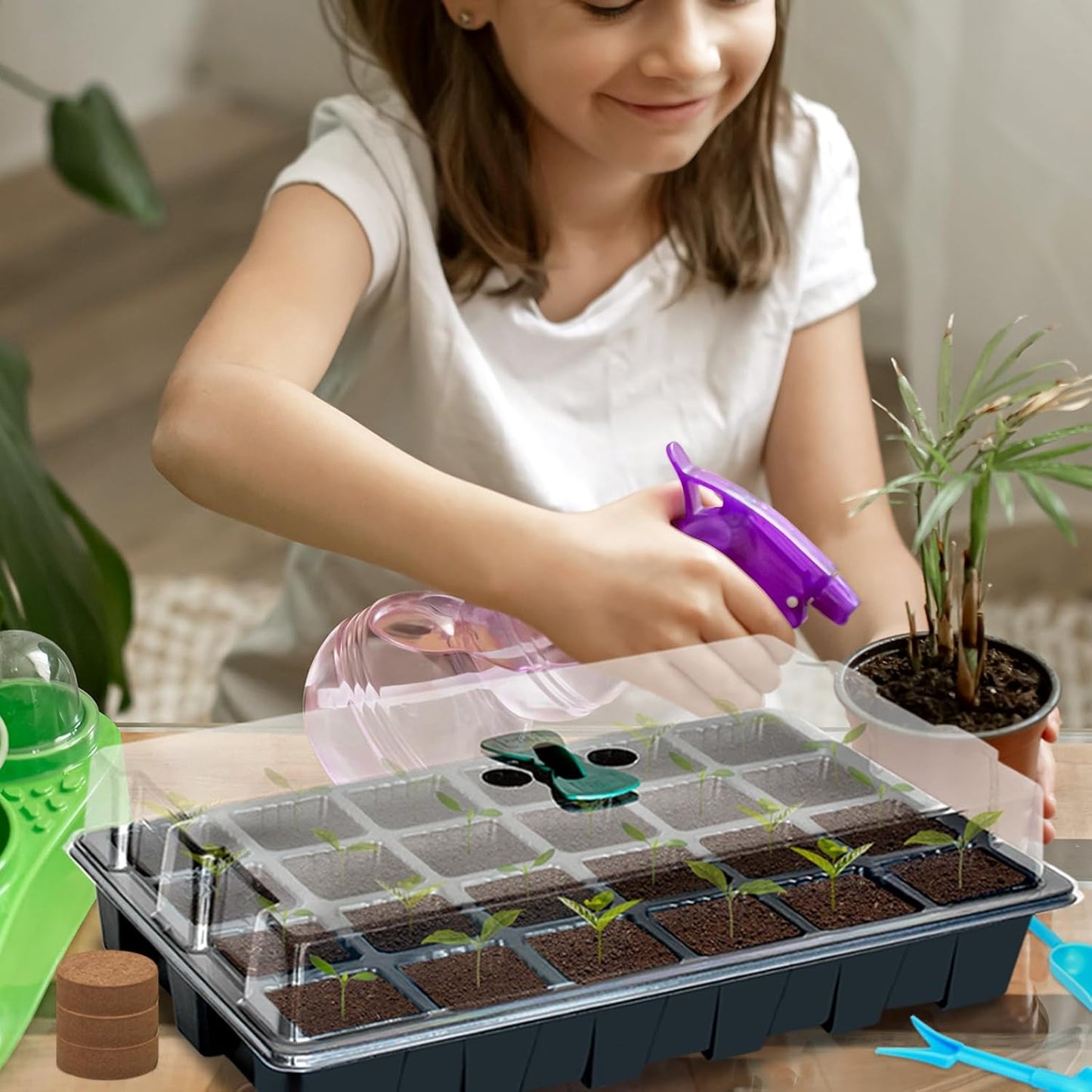 Halatool Seed Starter Kit, 2 Pack Seed Starter Trays with 50 Pcs Coco pellets and 2 Garden Tools & 100 Plant Labels, Greenhouse Indoor Seed Germination System for Herbs, Vegetables and Flowers (Black)