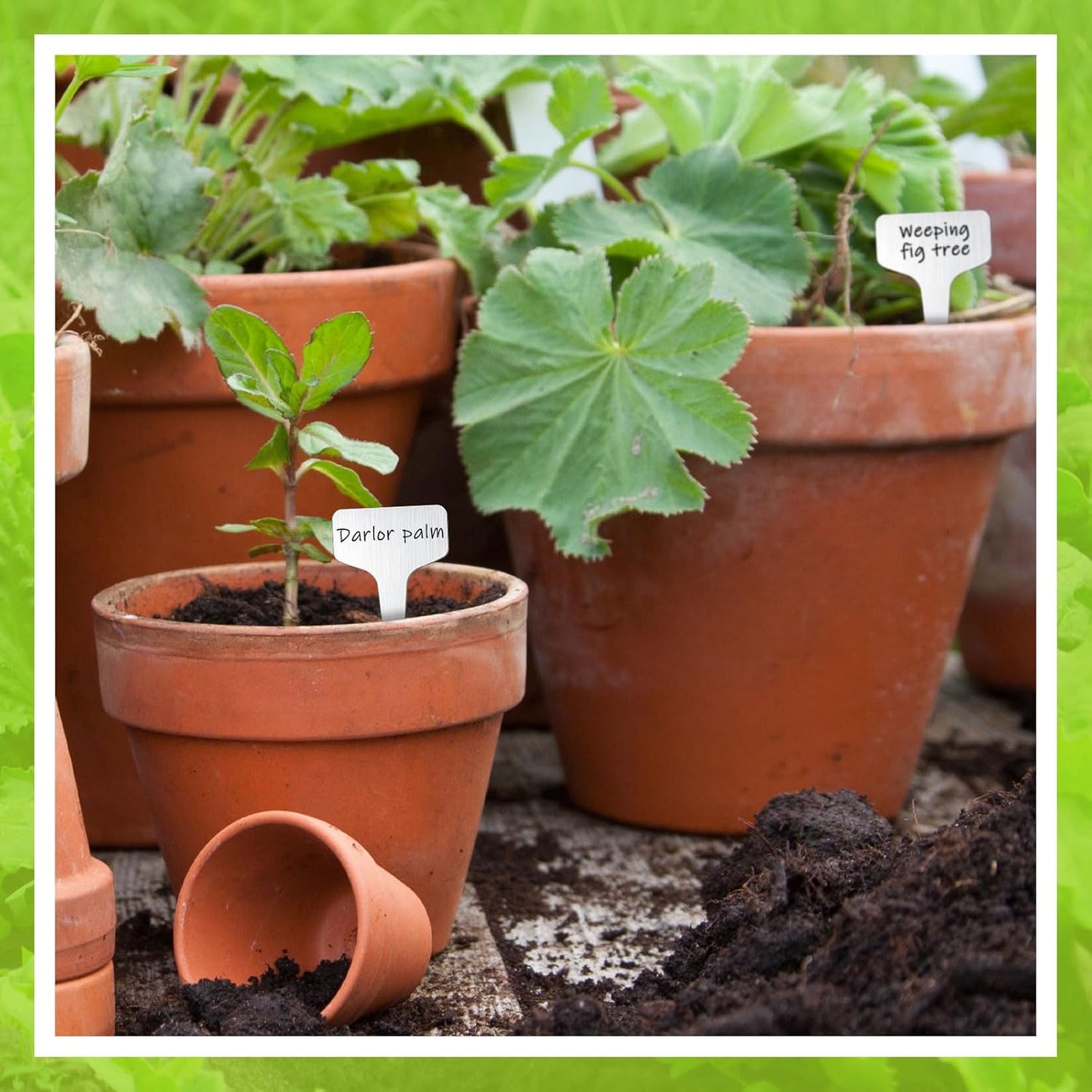 Hicarer 24 Pcs Durable Metal Plant Labels Christmas Gift Weatherproof Garden Markers Engraving Stainless Steel 304 T-Type Reusable Plant Tags for Gardeners Outdoor Greenhouse Vegetables(4x2.4 Inch)