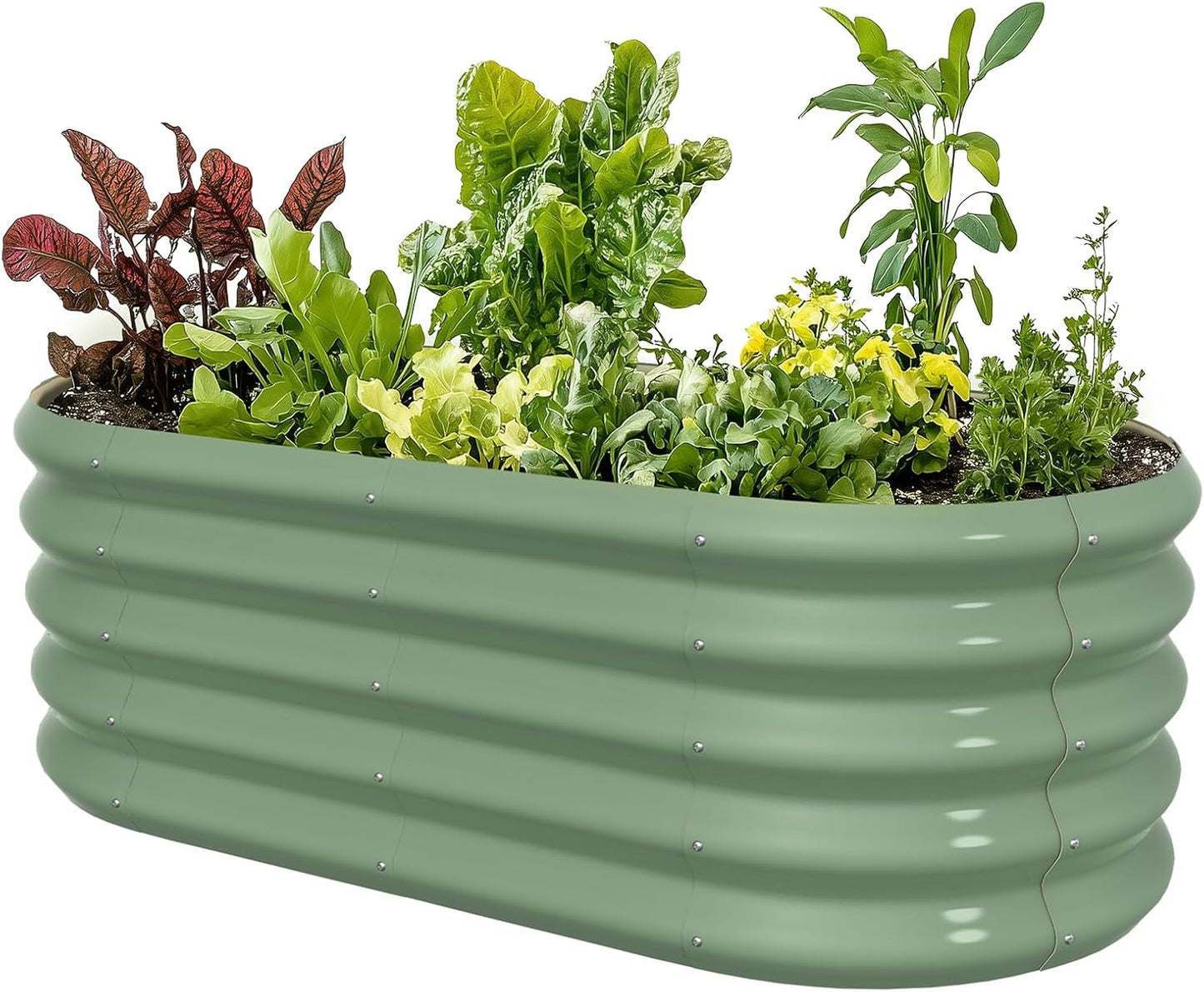 4x2ft Oval Galvanized Raised Garden Bed Kits 16" Tall Outdoor Large Metal Modular Planter Box 9-in-1 Raised Beds for Gardening,Vegetables,Fruits,Flowers & Herbs (Green)