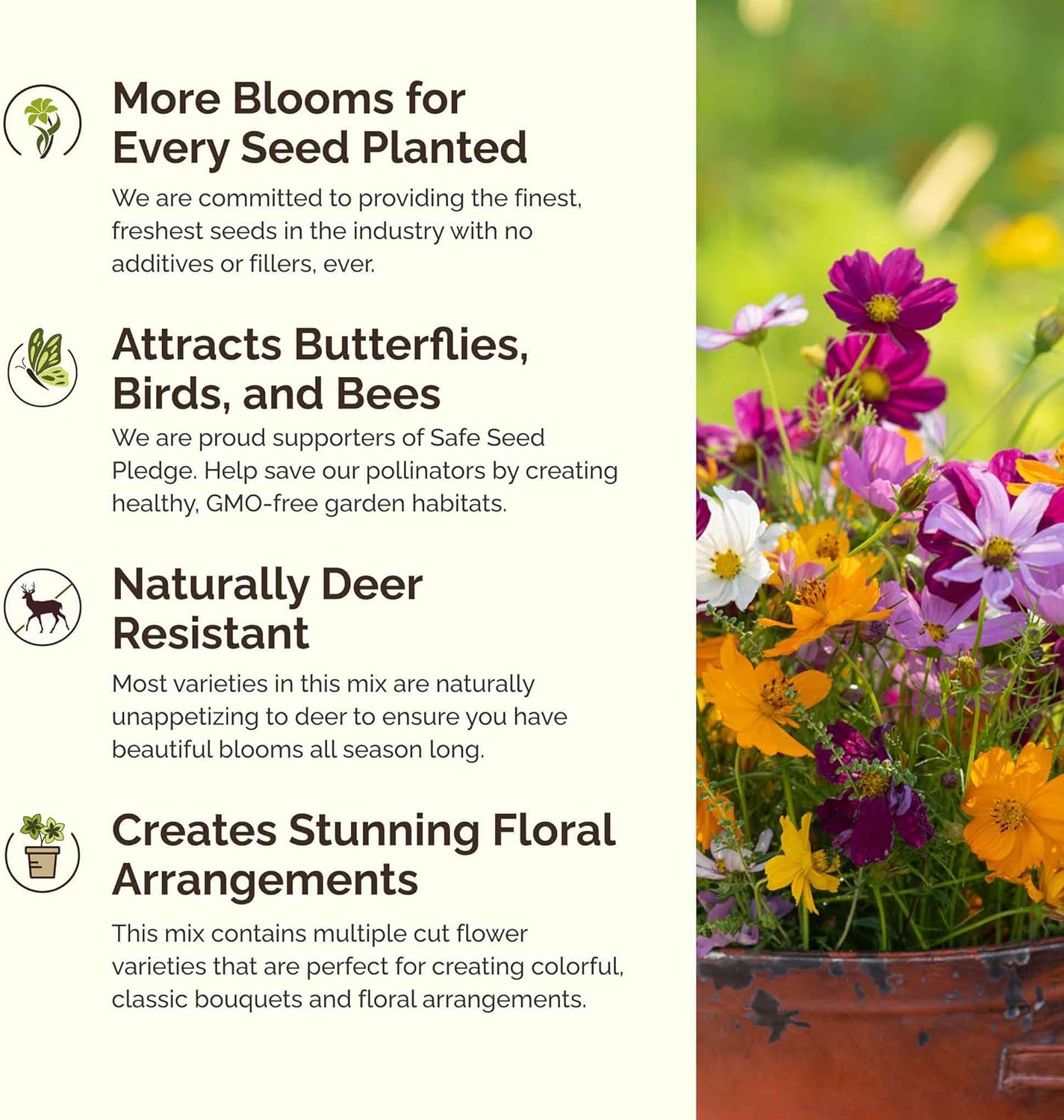 Eden Brothers Crazy for Cosmos Flower Mixed Seeds for Planting, 5 lb, 2,400,000+ Seeds with Cosmos Gloria, Pinkie, Purity | Attracts Pollinators, Plant in Spring or Fall, Zones 3, 4, 5, 6, 7, 8, 9, 10