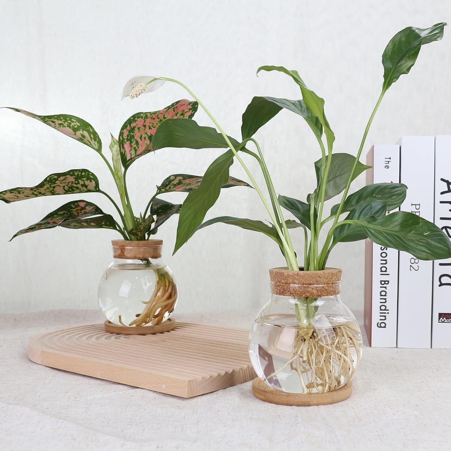 Plant Propagation Station,Hydroponic Glass Container Vase Jars, with Wooden Saucer for Desks, Houses, Garden Decorations, Home Kitchen Decorations and Gifts for Plant Lovers (2)