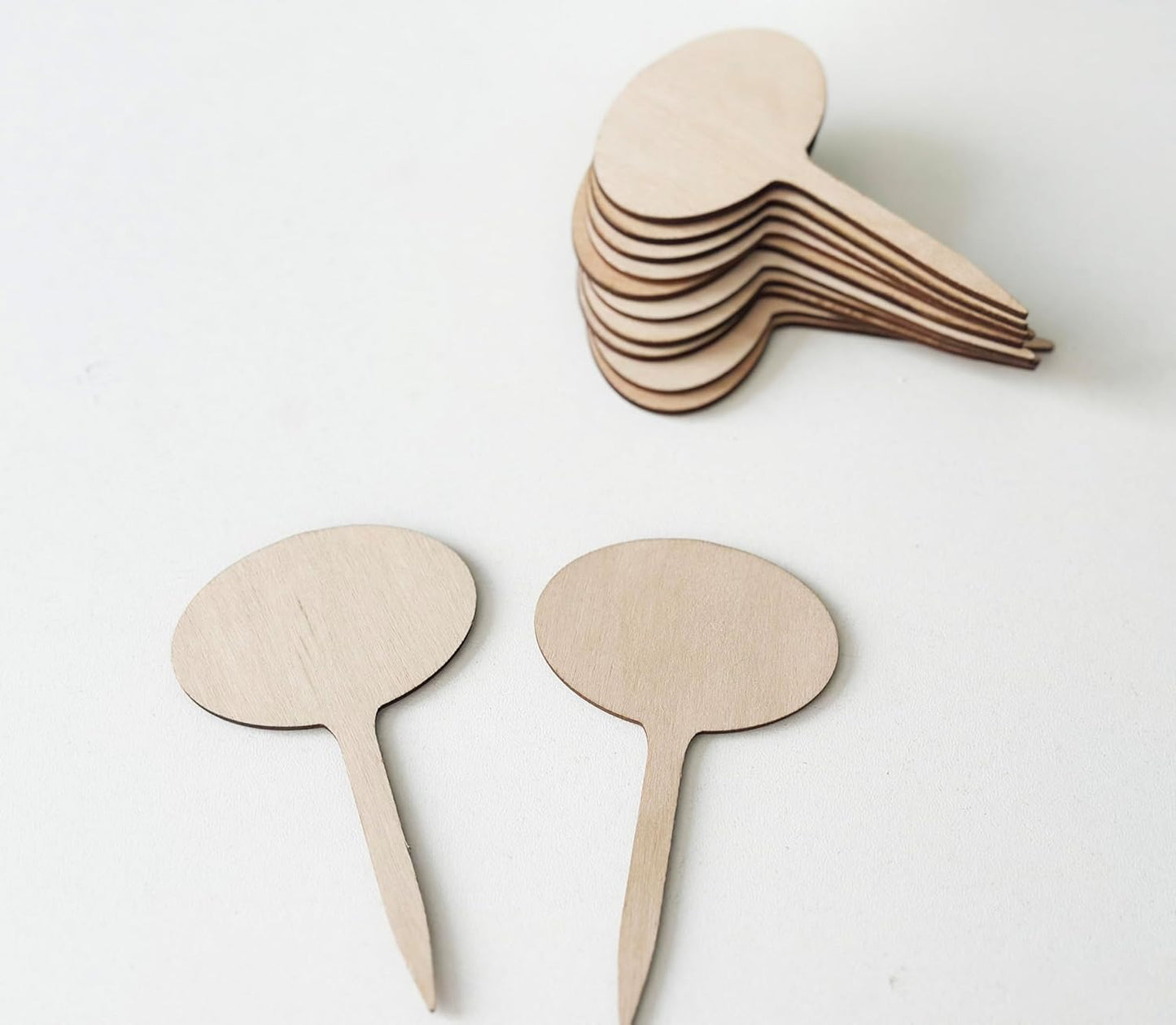 100 Pcs Wood Plant Labels, Natural Wooden Plant Marker Garden Sign Tags, T-Type Garden Markers for Succulents, Herbs, Seedlings, Potted, Flowers, Vegetables (Oval)