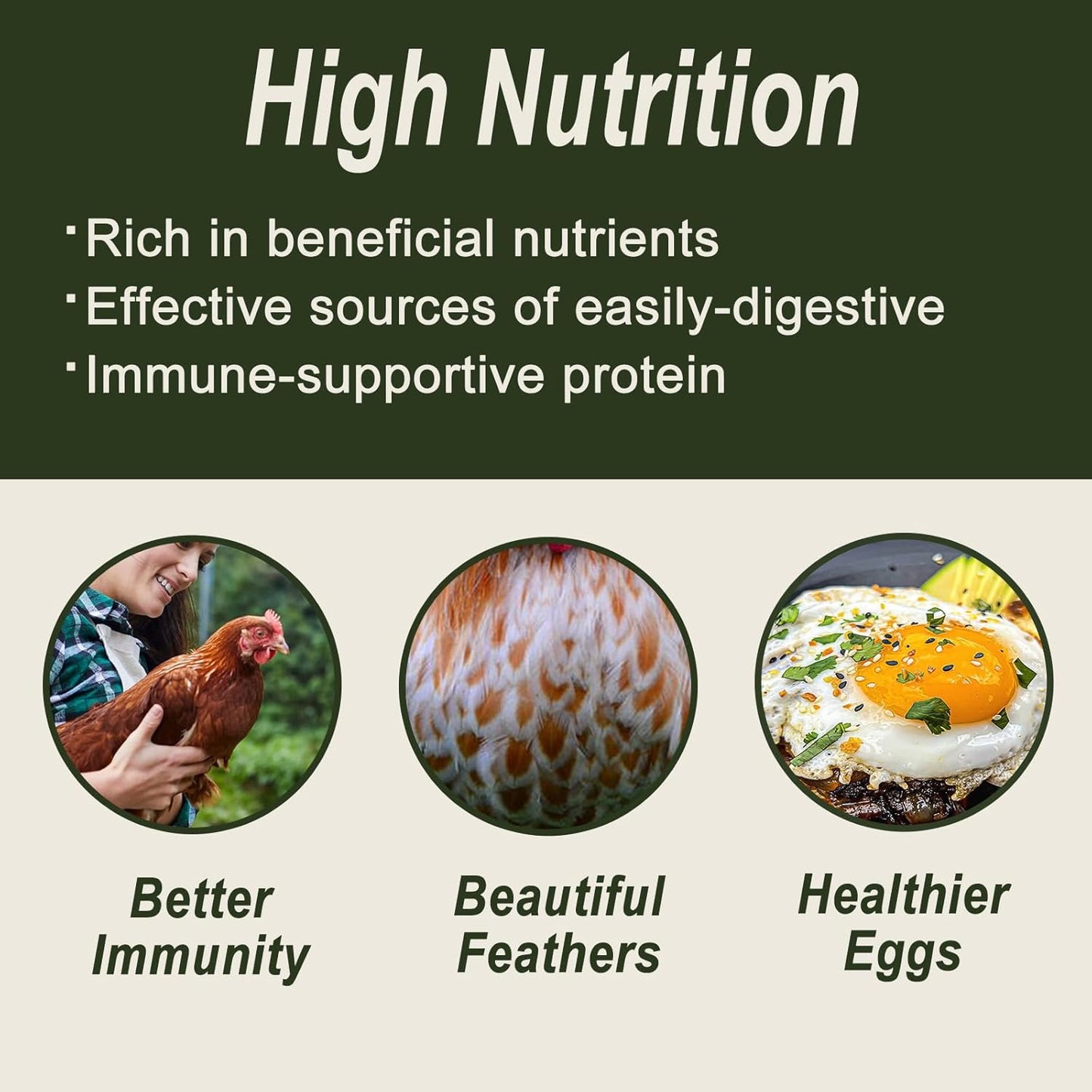 Adaman Dried Black Soldier Fly Larvae 5 LBS-100% Natural BSF Larvae-More Calcium Than Dried Mealworms High-Protein Chickens Treats, Food for Birds, Ducks, Layer Hens