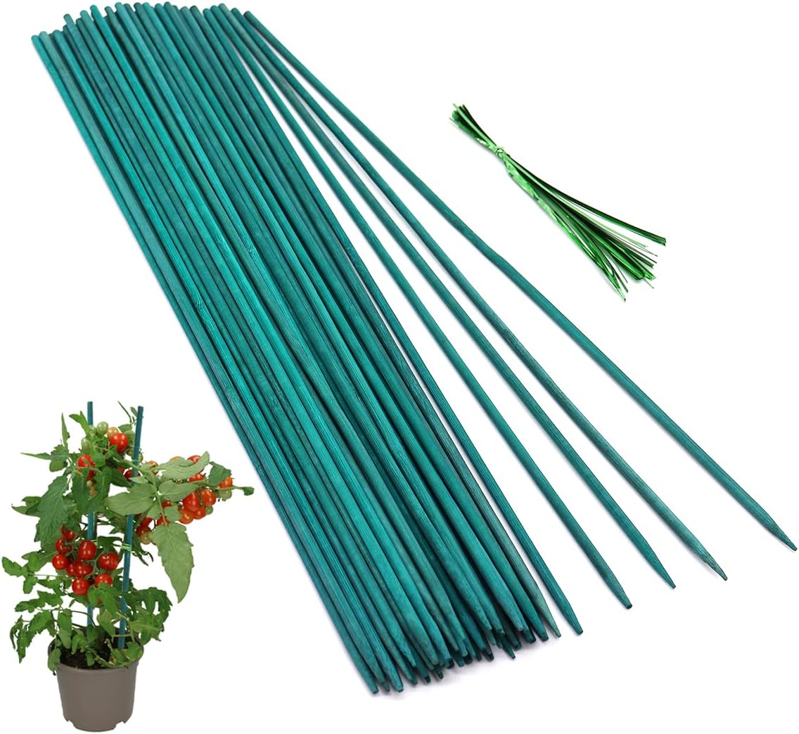 50 Pcs Plant Sticks Green Plant Stakes, Plant Support Garden Stakes for Indoor and Outdoor Plants, GAGINANG Sturdy Garden Wood Bamboo Sticks, Floral Plant Stakes for Garden Potted Plants（15 Inches）
