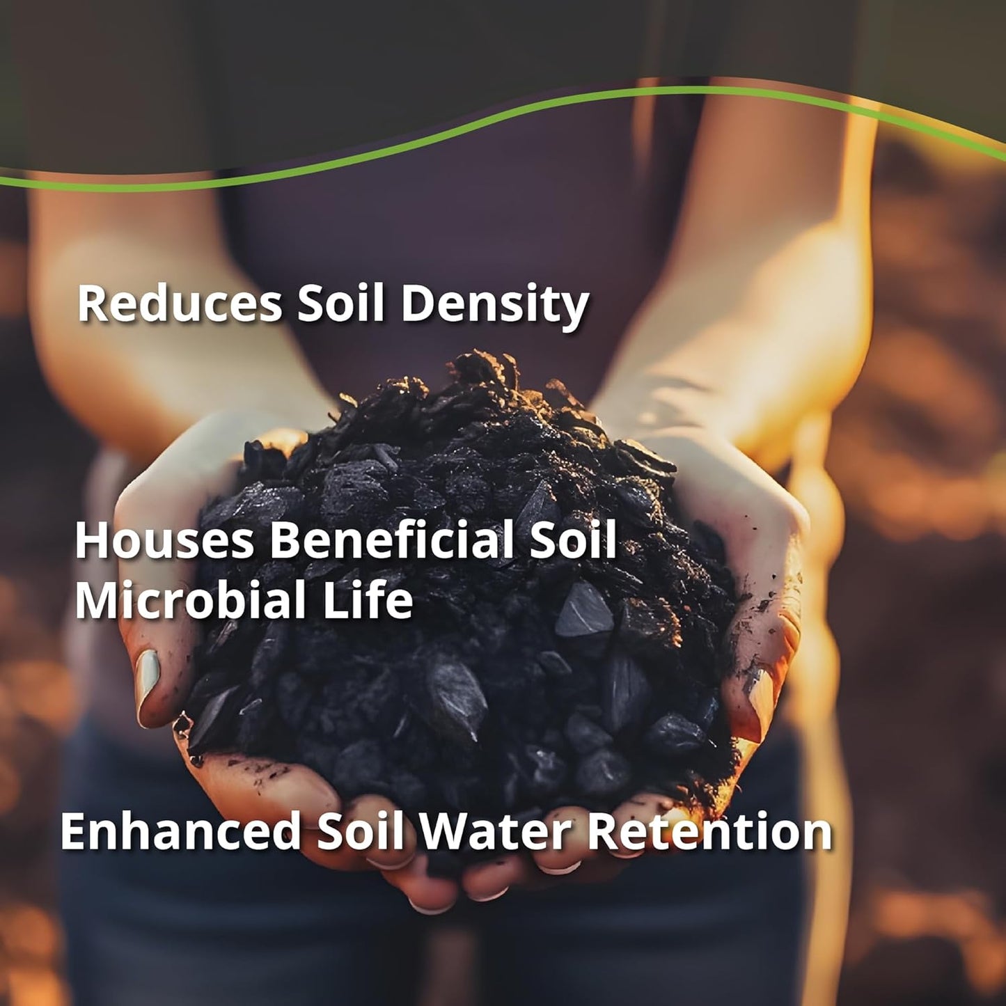 Worm Bliss (1 Qt) + Char Bliss (1 Qt) - Organic Worm Castings for Plants & Organic Biochar for Plants - Earthworm Castings Organic Fertilizer - Biochar Soil Amendment - Charcoal for Plants