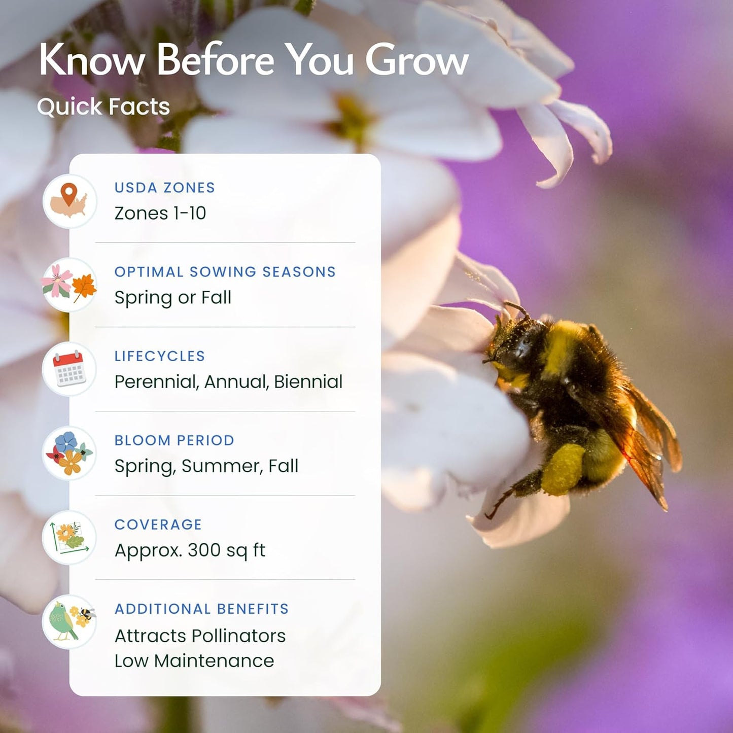 Created By Nature Bee & Butterfly Wildflower Seed Mix, 16 Varieties, 30,000 Seeds