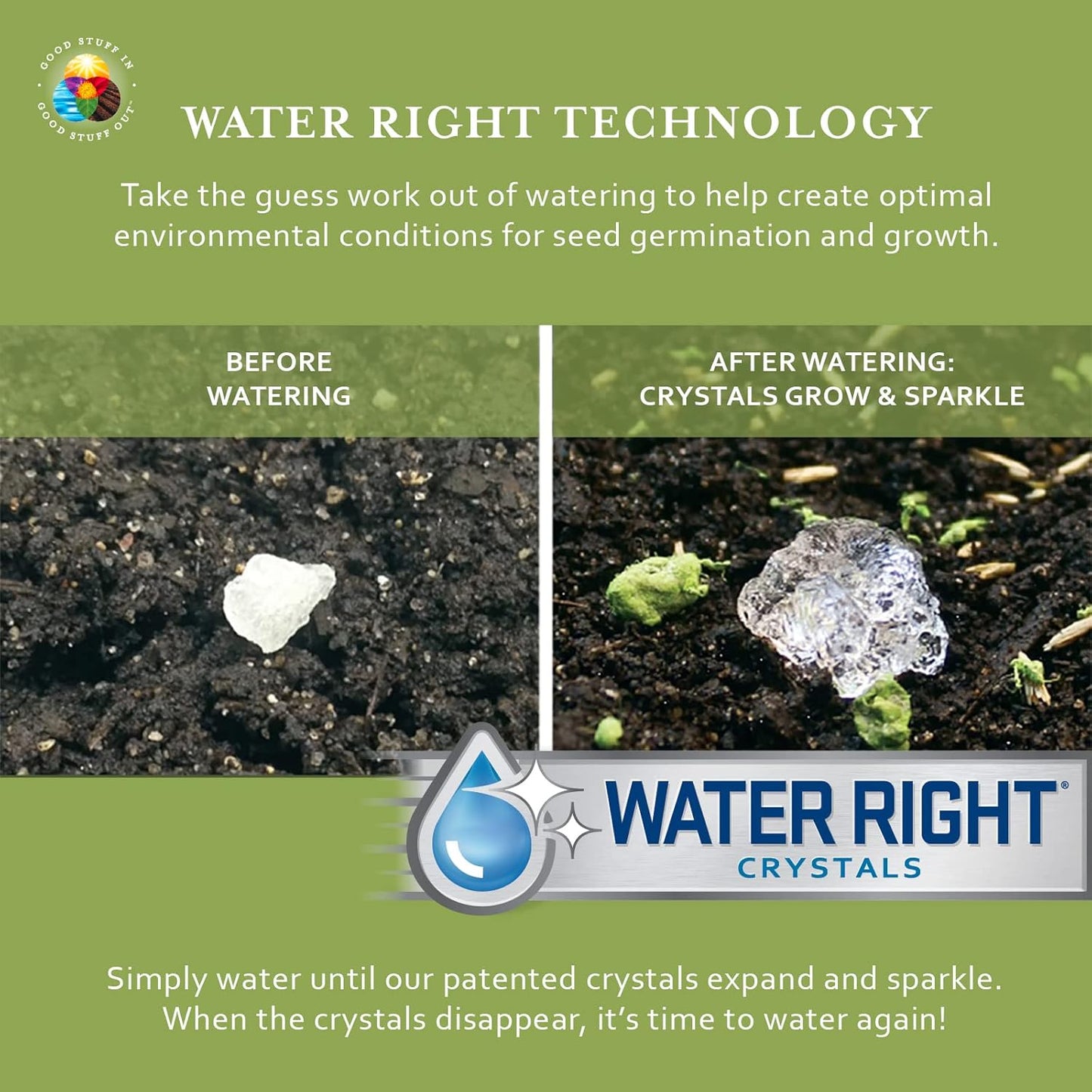 Earth Science Zinnia Wildflower Mix—6lb – 3-in-1 Seeds Plant Food & Soil Conditioner – Non-GMO Vibrant Blooming Flowers for Gardens Low Maintenance Attracts Pollinators – Covers 600 Sq Ft Eco-Friendly