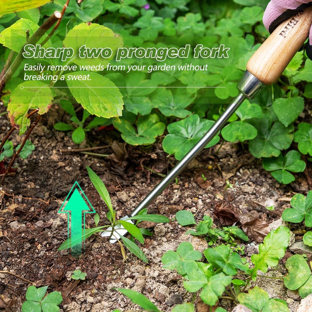 Berry&Bird Dandelion Weeding Tool Crack Weeder Manual Hand Weeder, V-Shaped Fork Easy Weed Removal & Uprooting, Garden Weed Puller Tool for Patio Lawn Yard